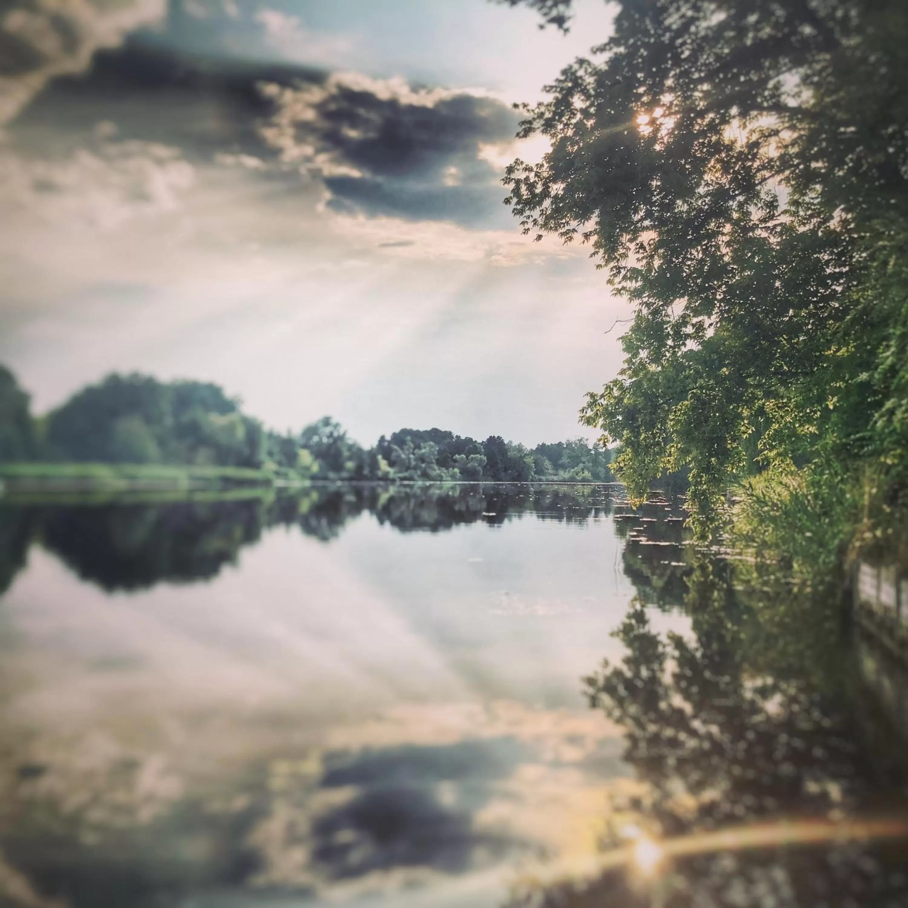 Neighbourhood in Riverside Inn