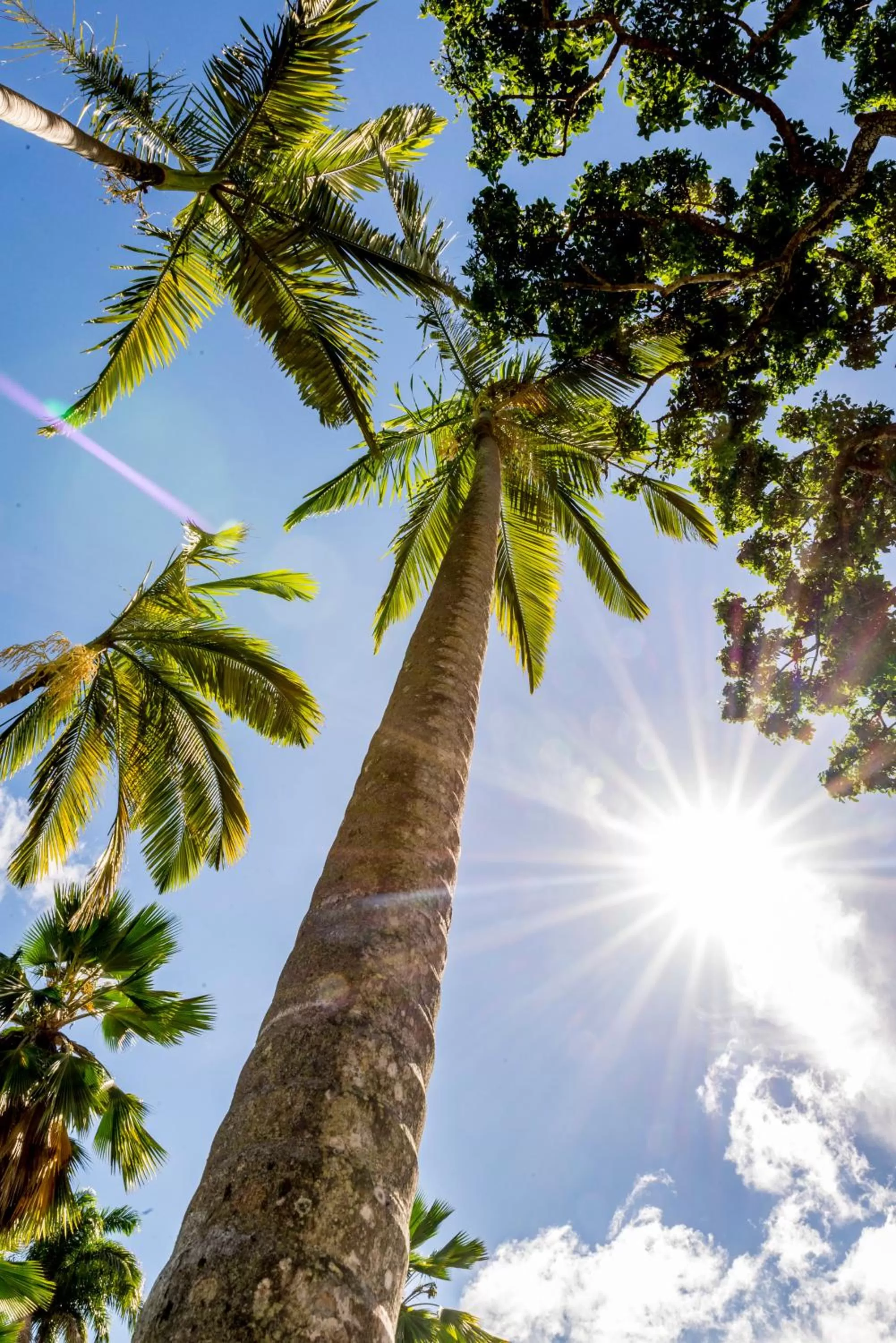 Day in Residence Fort Savane