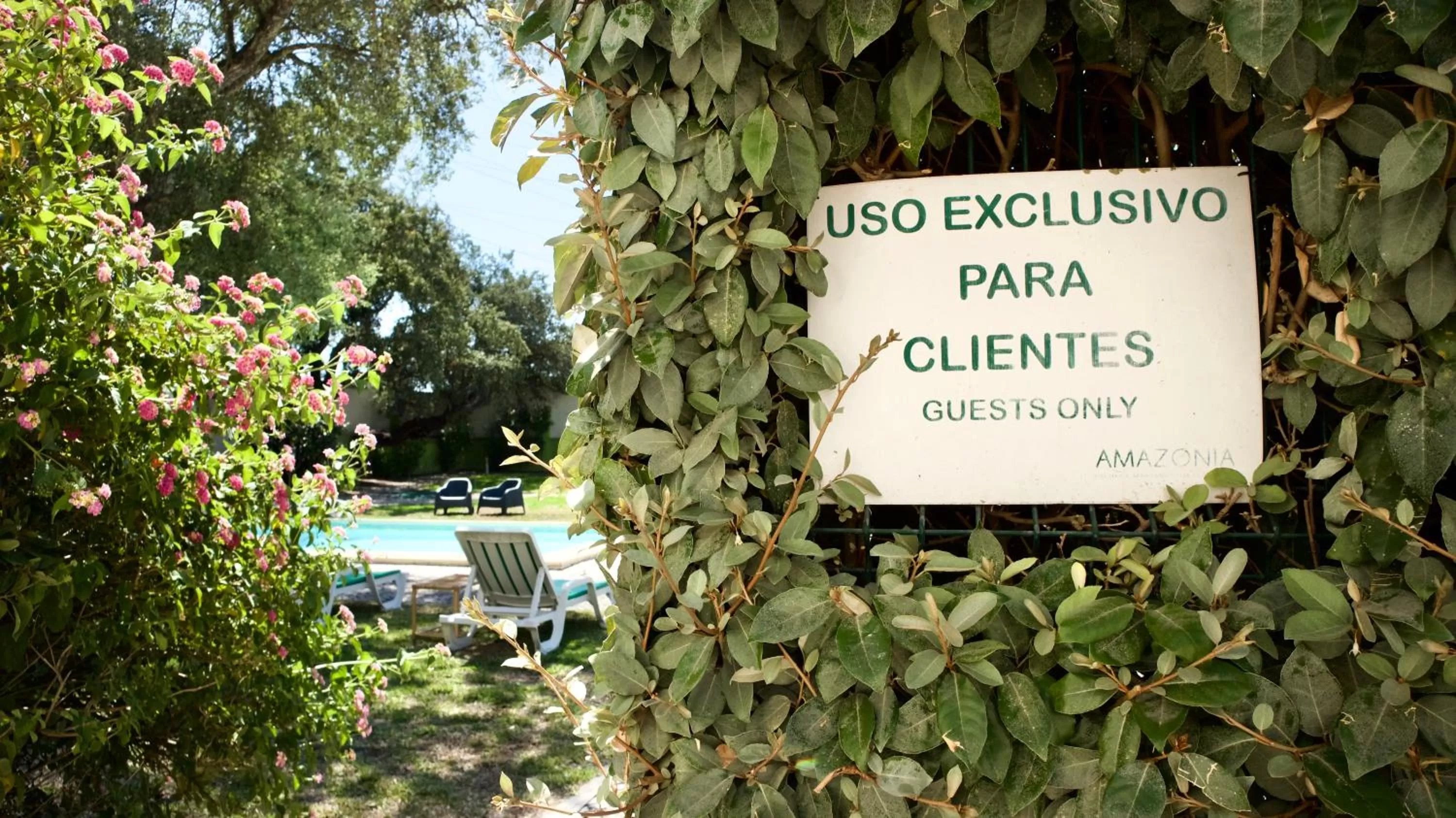 Garden in Amazonia Palmela Apartamentos Turisticos