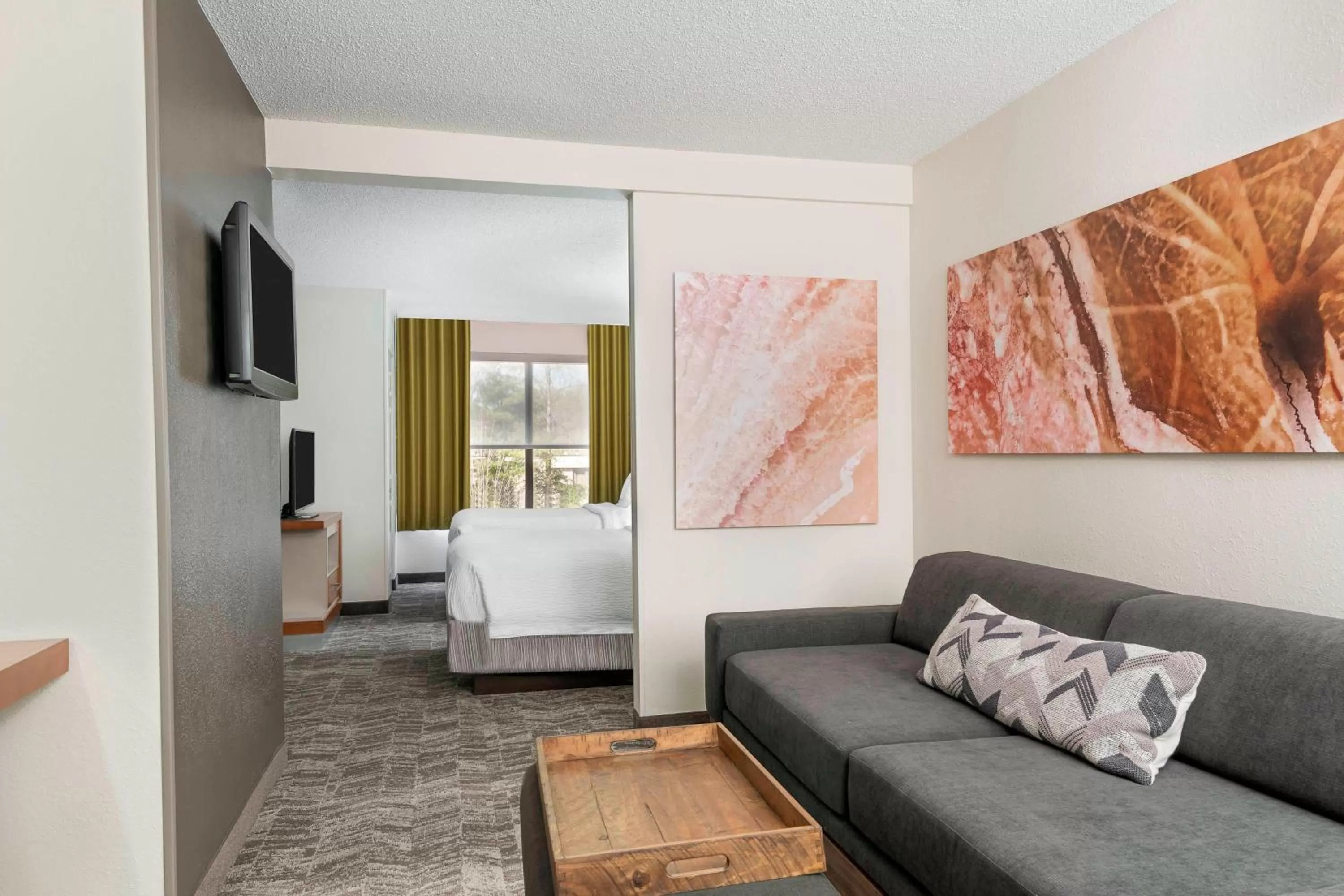 Living room, Bed in SpringHill Suites Asheville