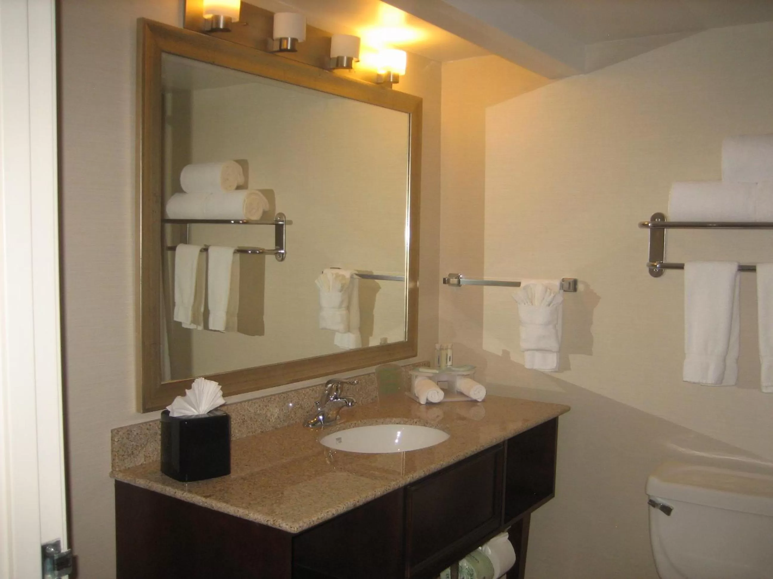 Bathroom in Holiday Inn Express Scottsdale North by IHG