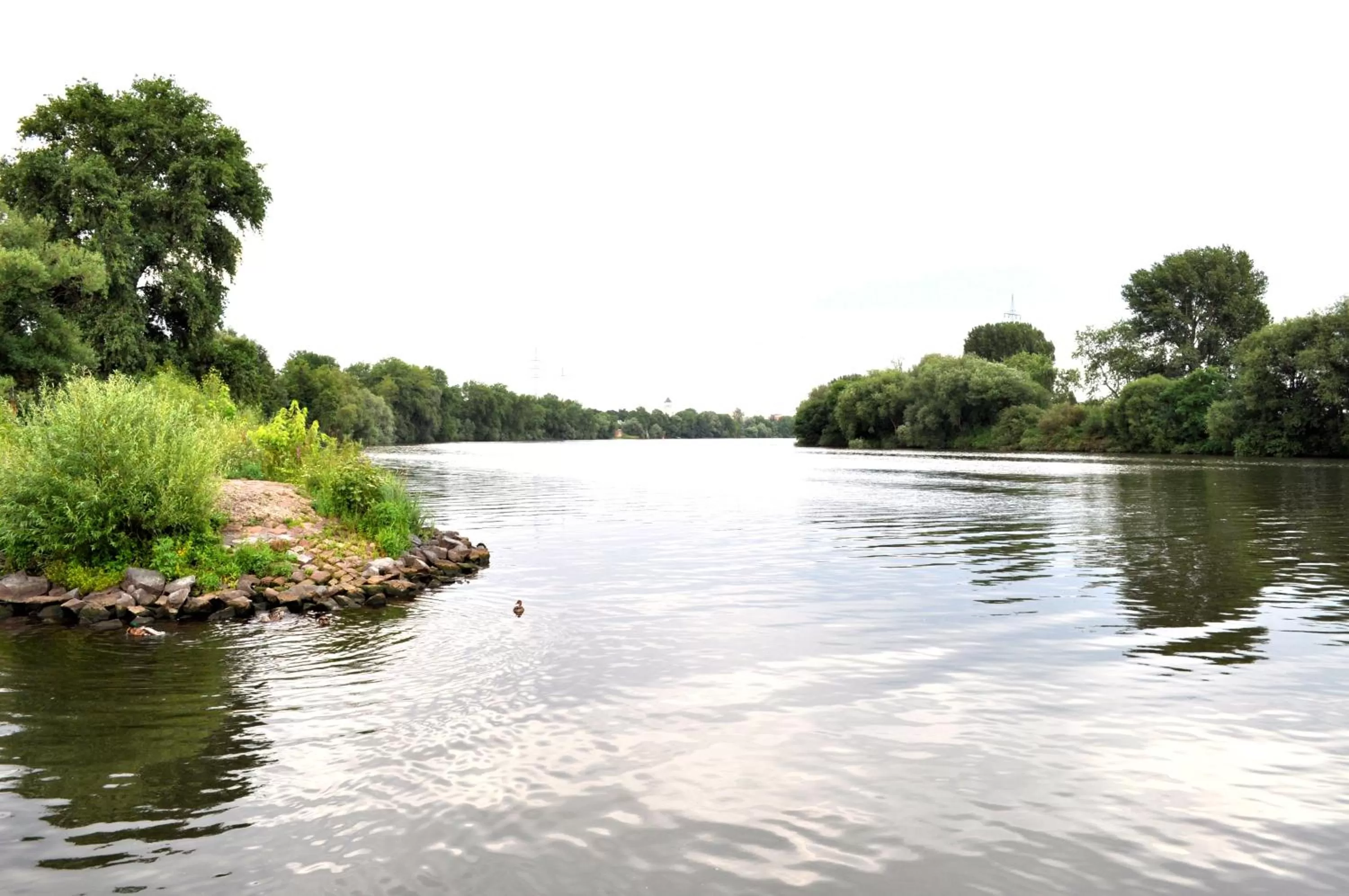 Area and facilities in Tagungshotel Höchster Hof