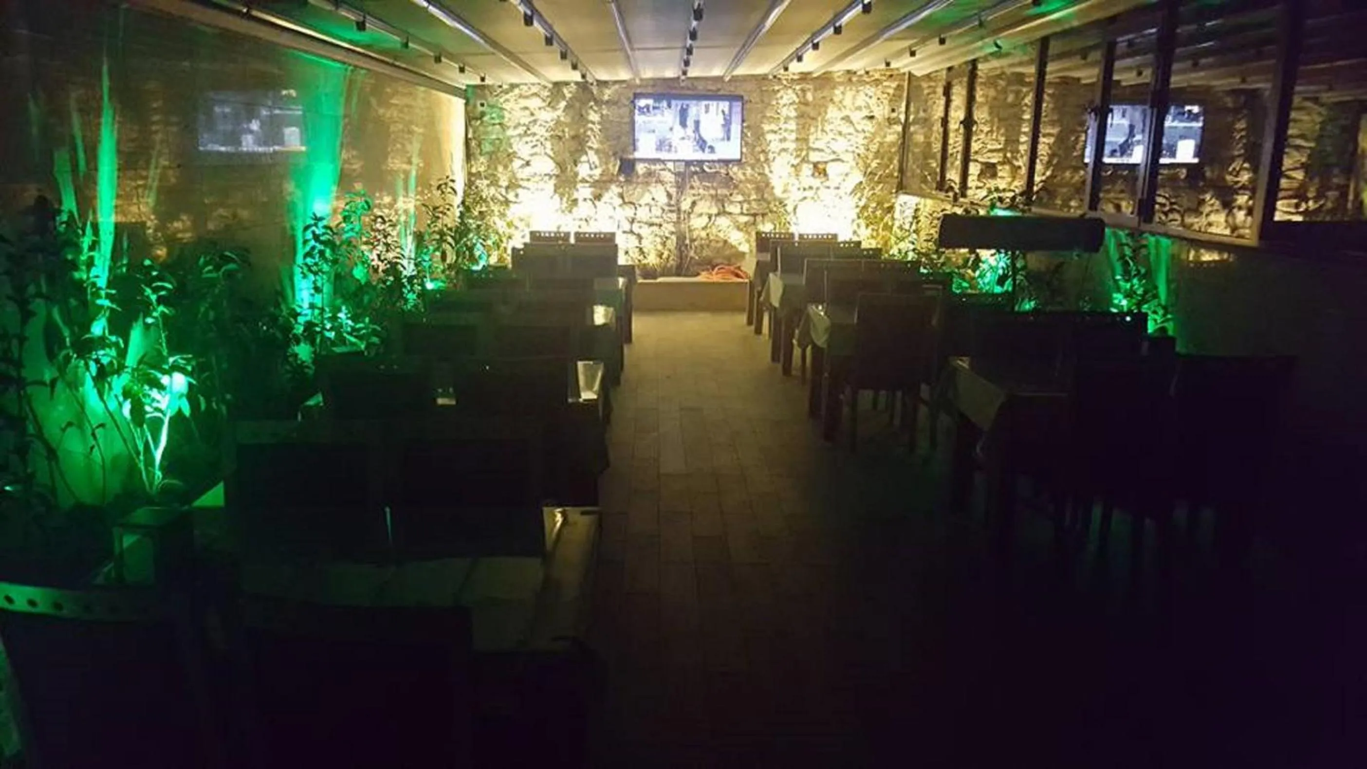 Garden in Sun Comfort Hotel