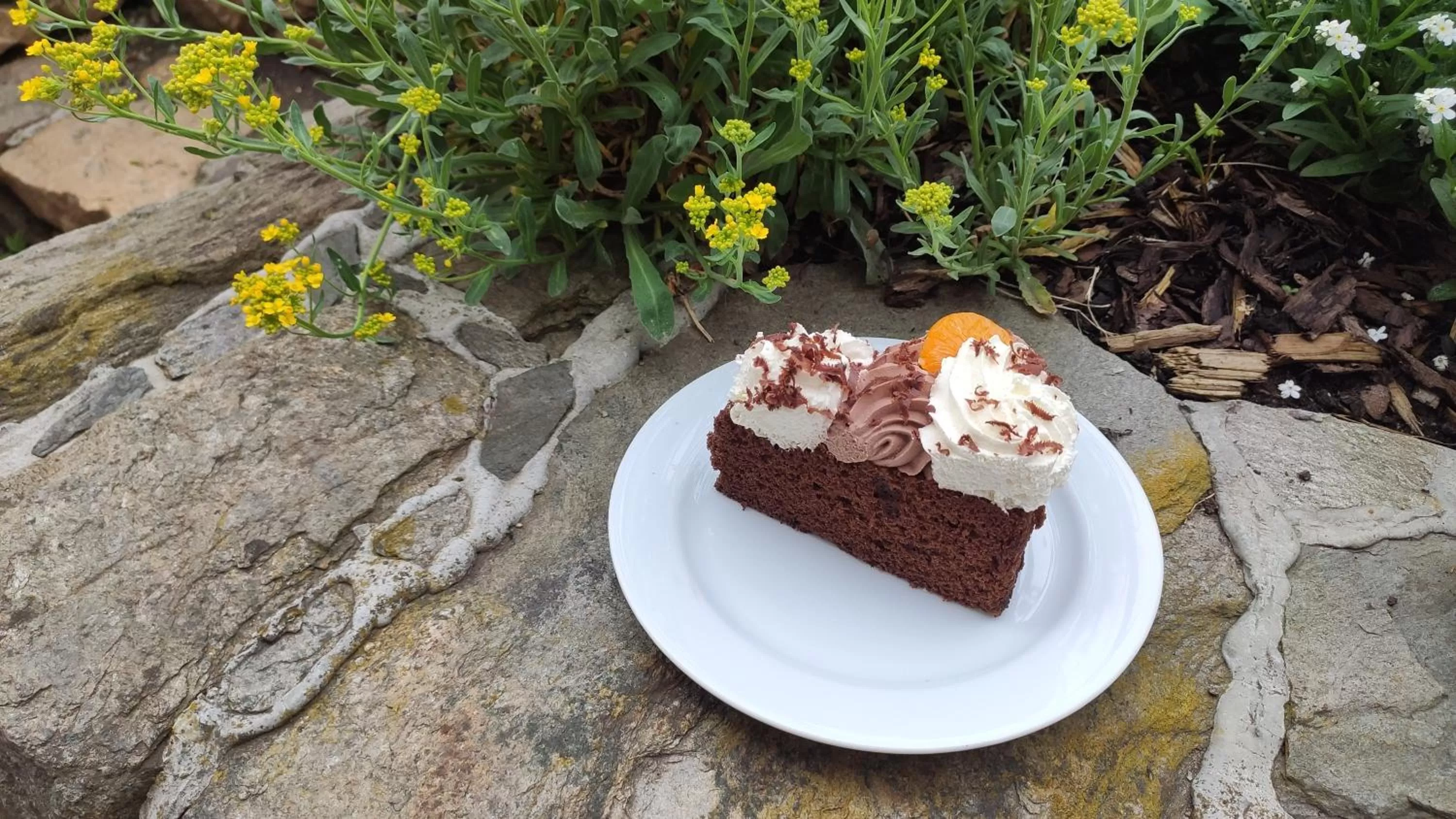 Food close-up in H@M Penzion