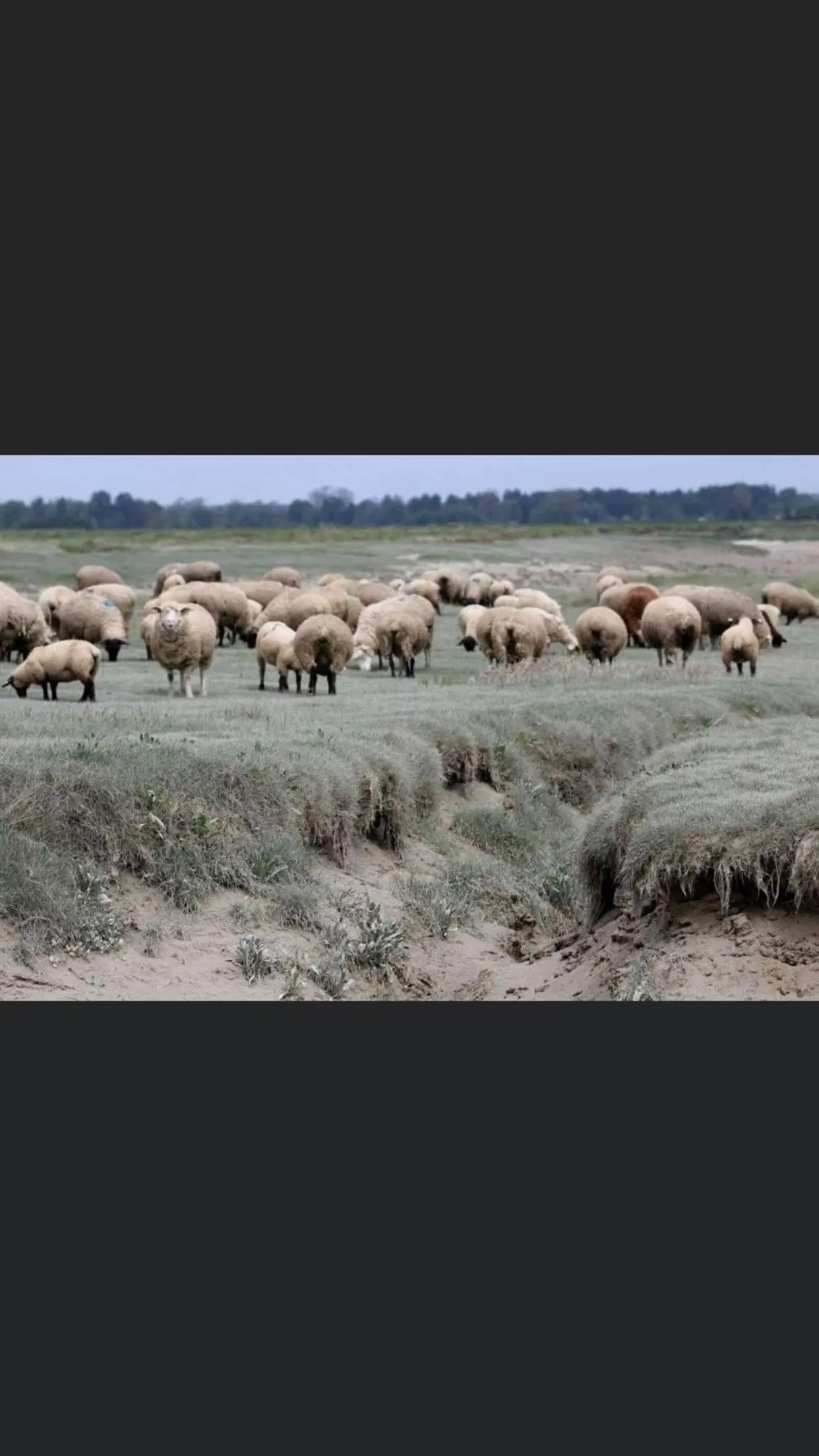 Escale beauté le Crotoy
