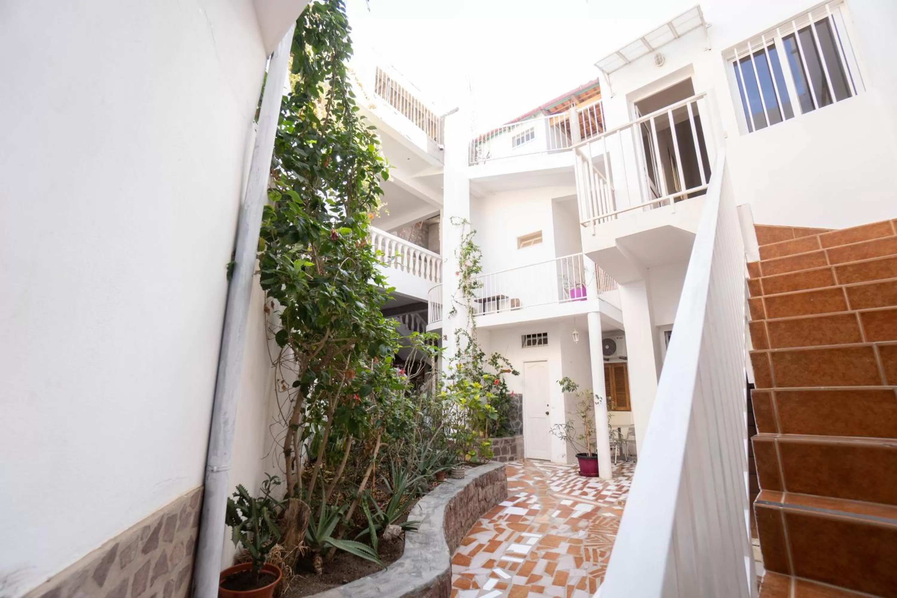 Garden in Residencial Che Guevara B & B Stop over