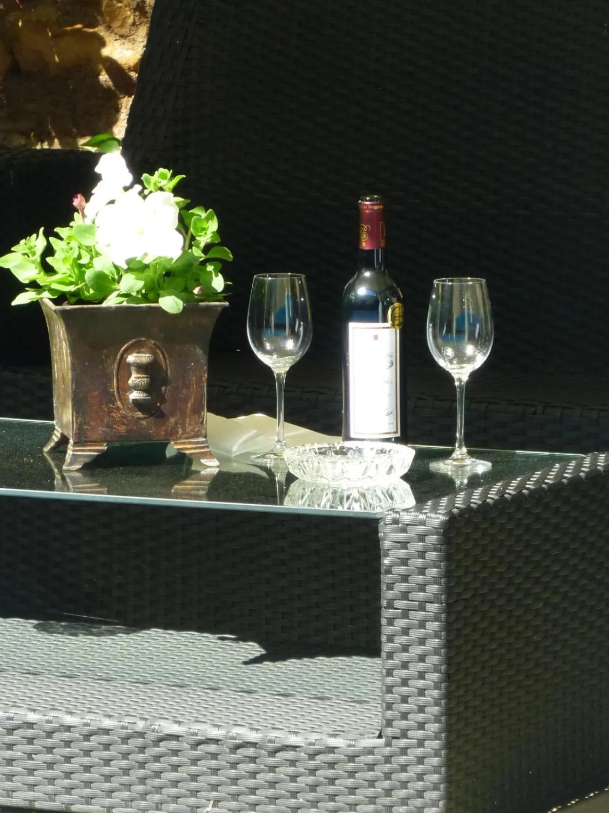 Garden in Hotel de France