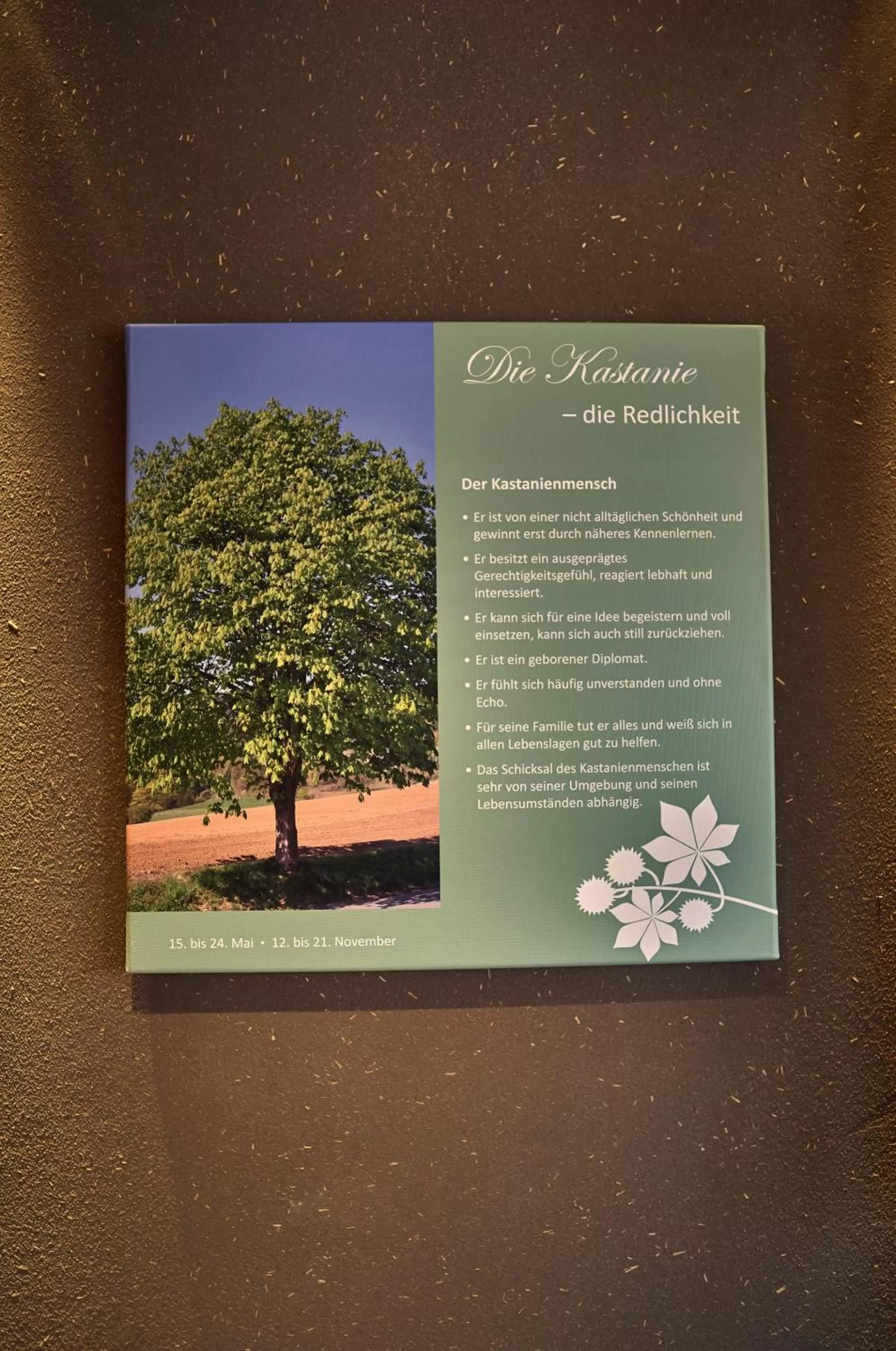 Other in Zedernhof Gesundheits- & Wellnesshotel