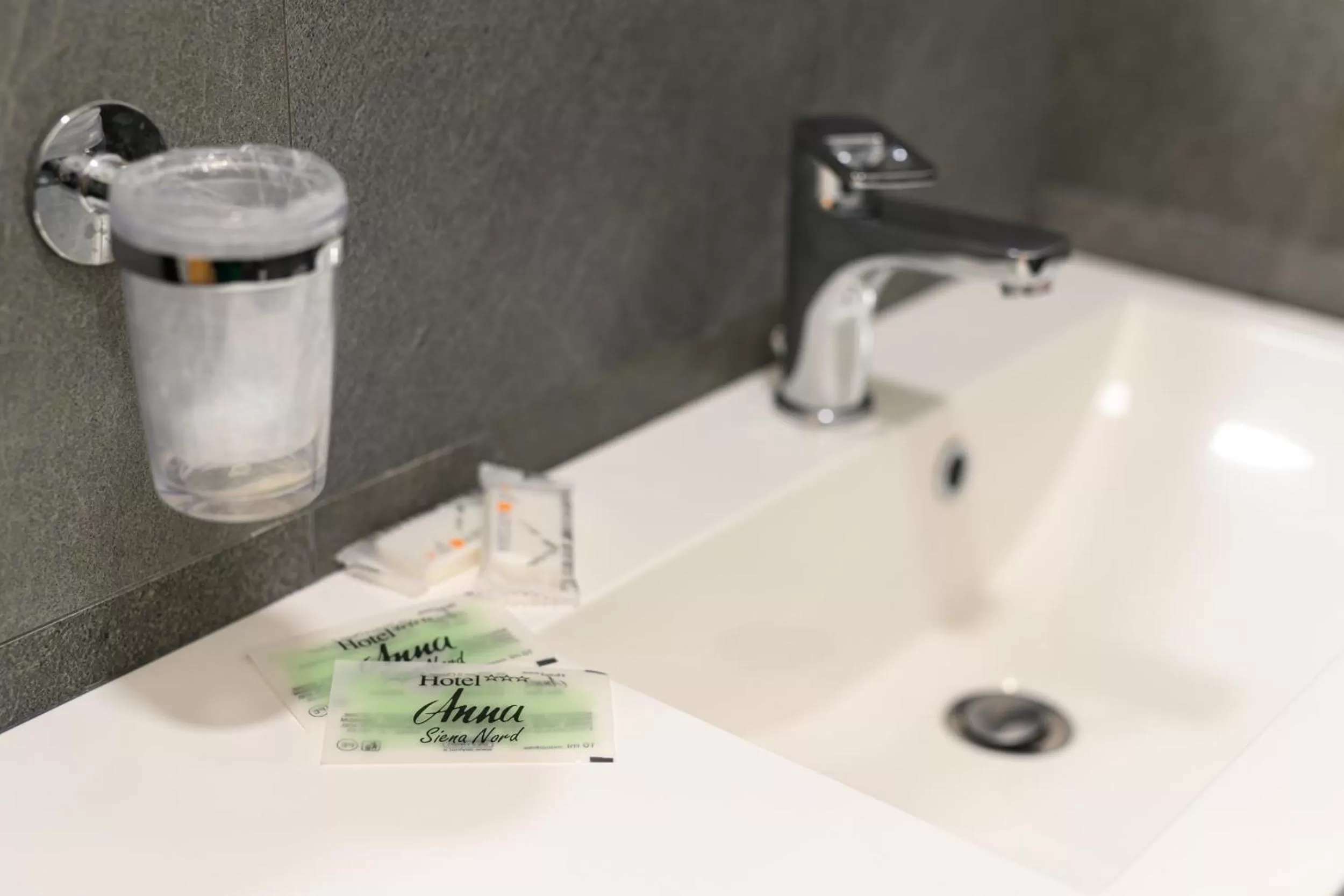 Hotel Anna Siena Nord