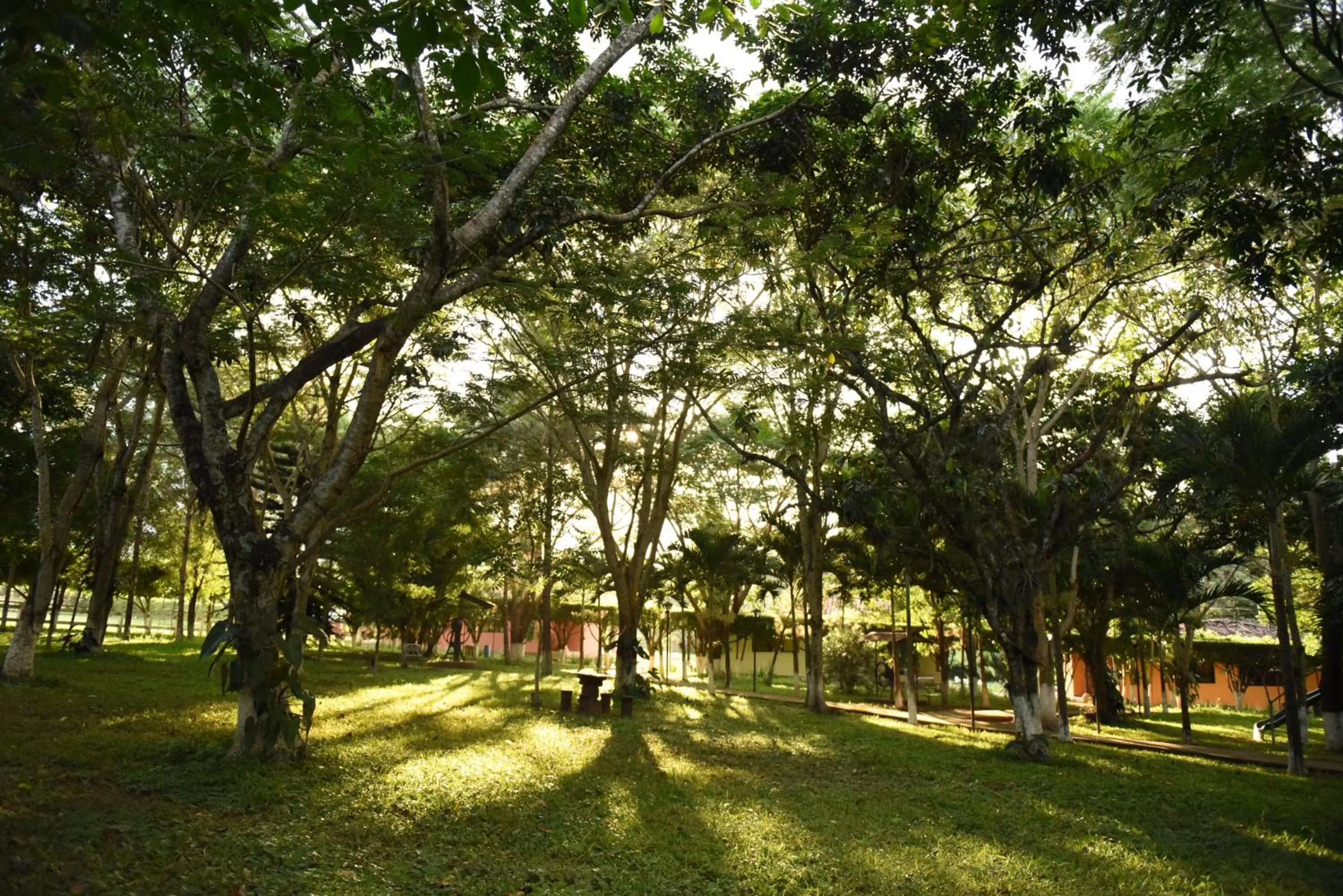 Natural landscape, Garden in Hotel de Campo Villa de Ada