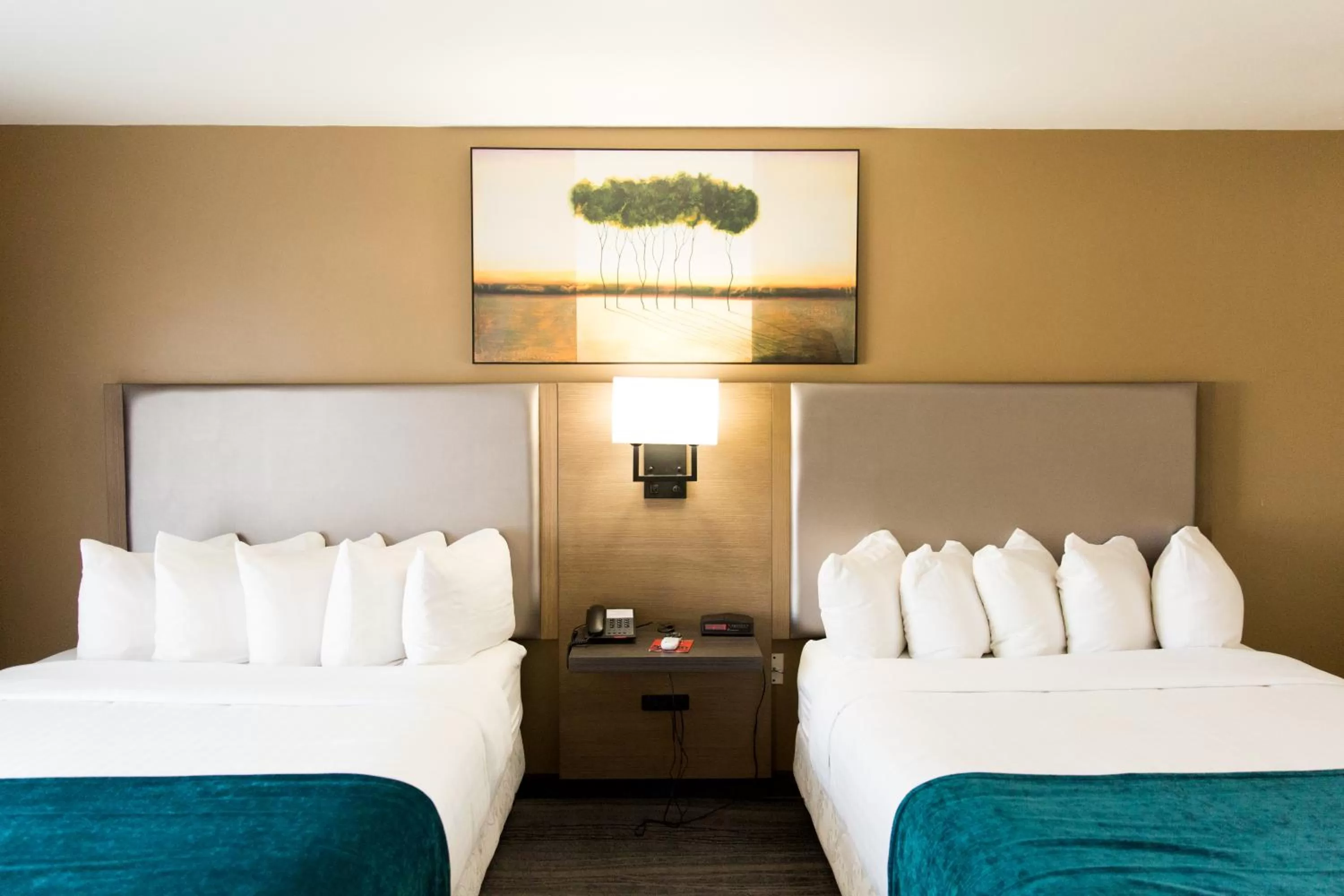 Photo of the whole room, Bed in Los Viajeros Inn