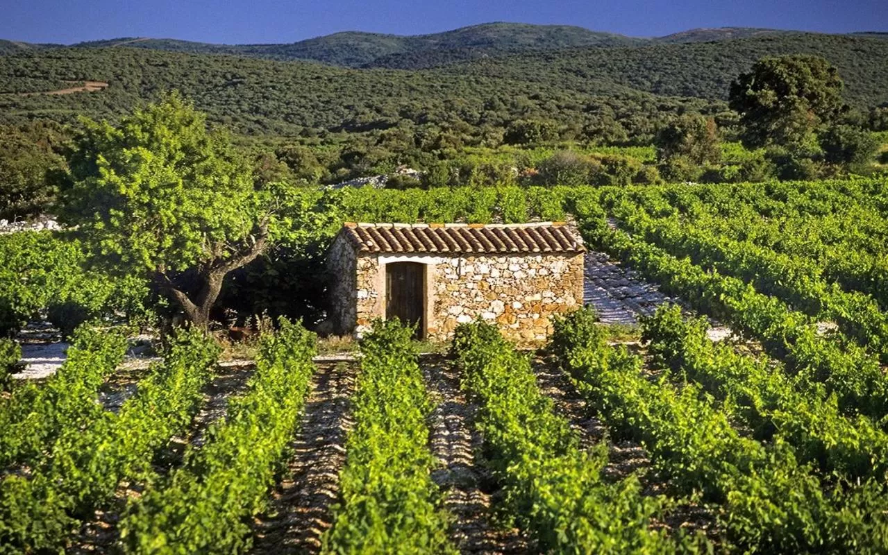 Property building, Neighborhood in L'Auberge du Mazet