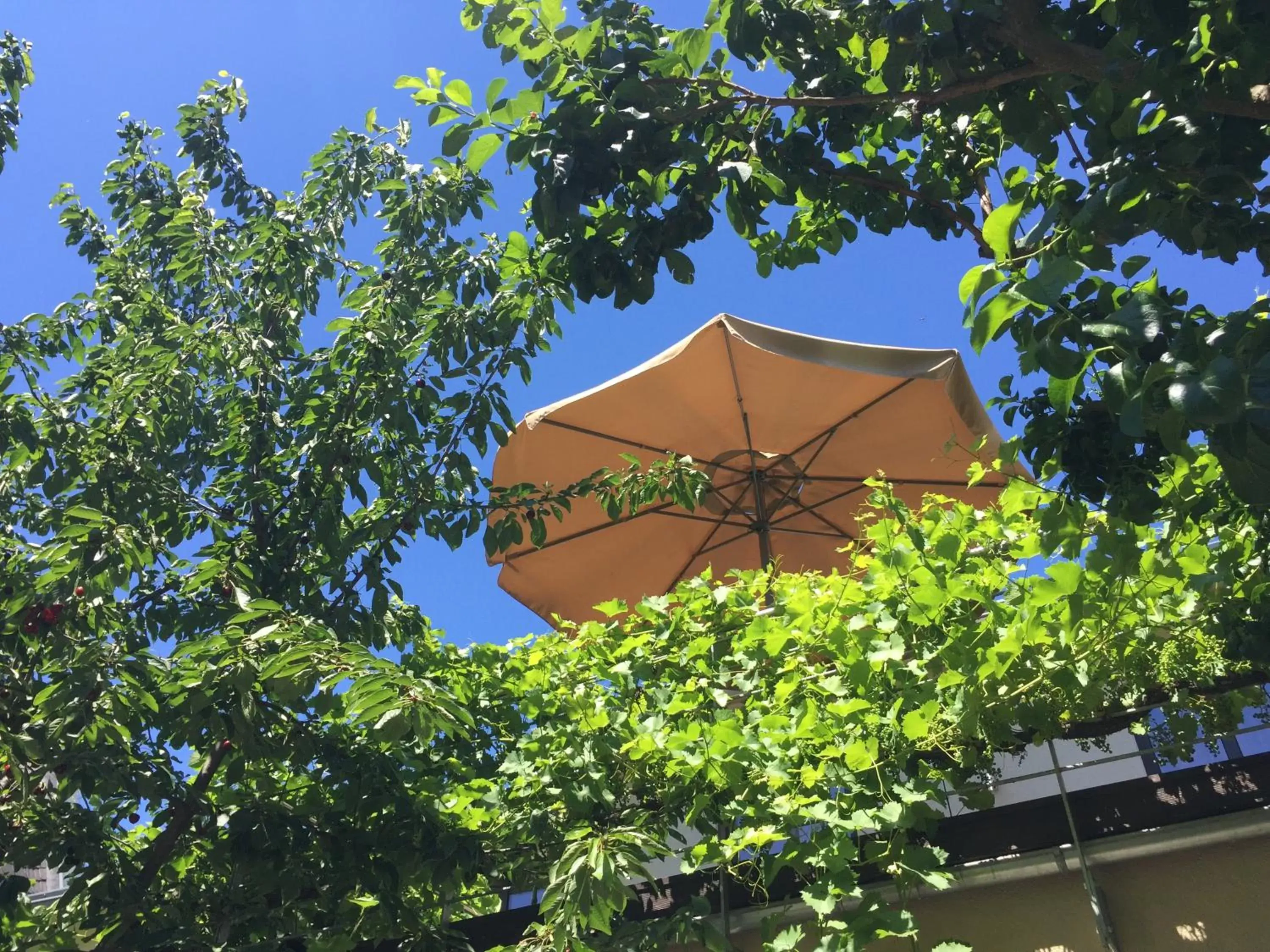 Deluxe Double Room in Jugendstil-Hof Deluxe Double Room in Jugendstil-Hof