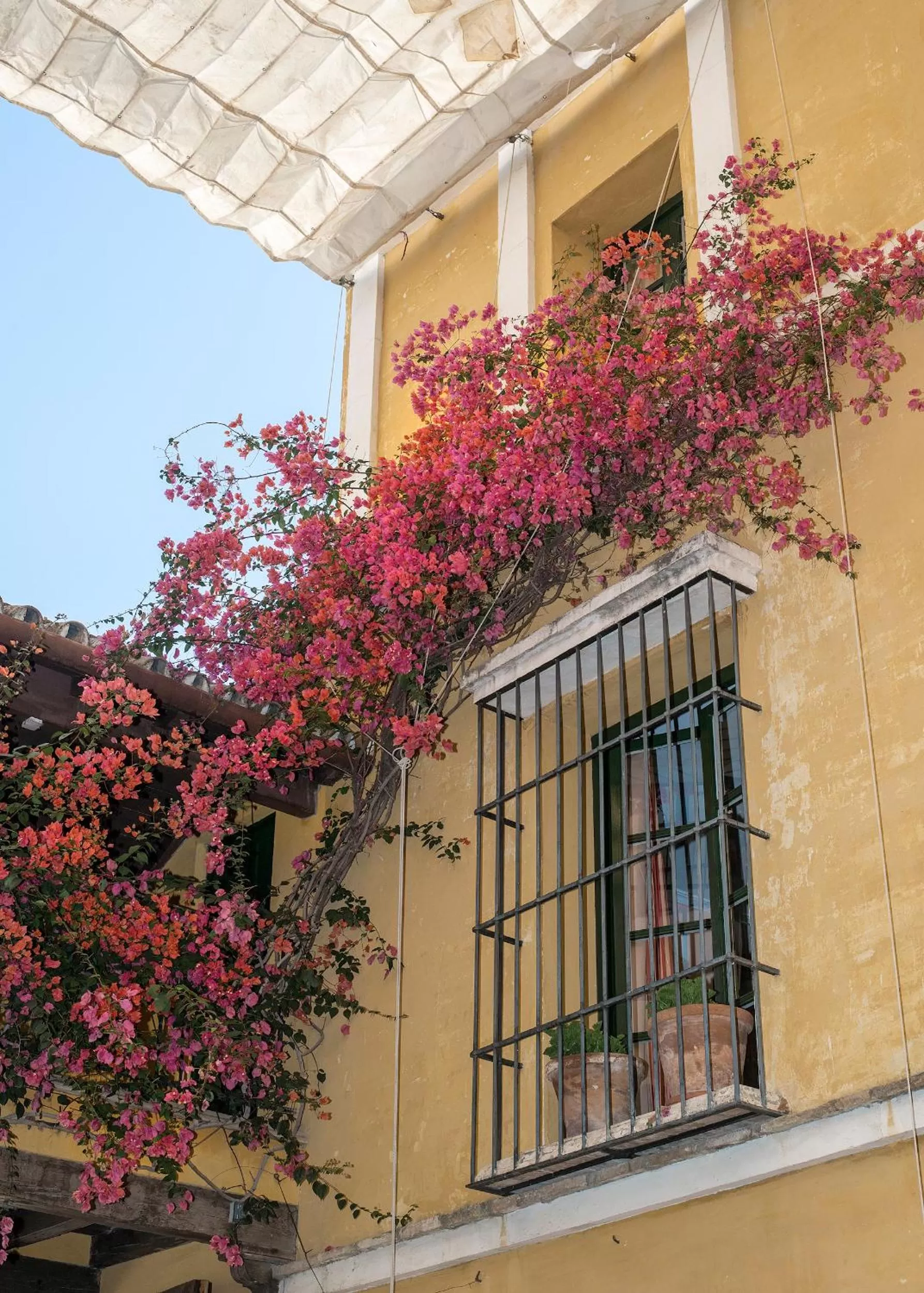 Spring in Hotel Las Casas de la Judería