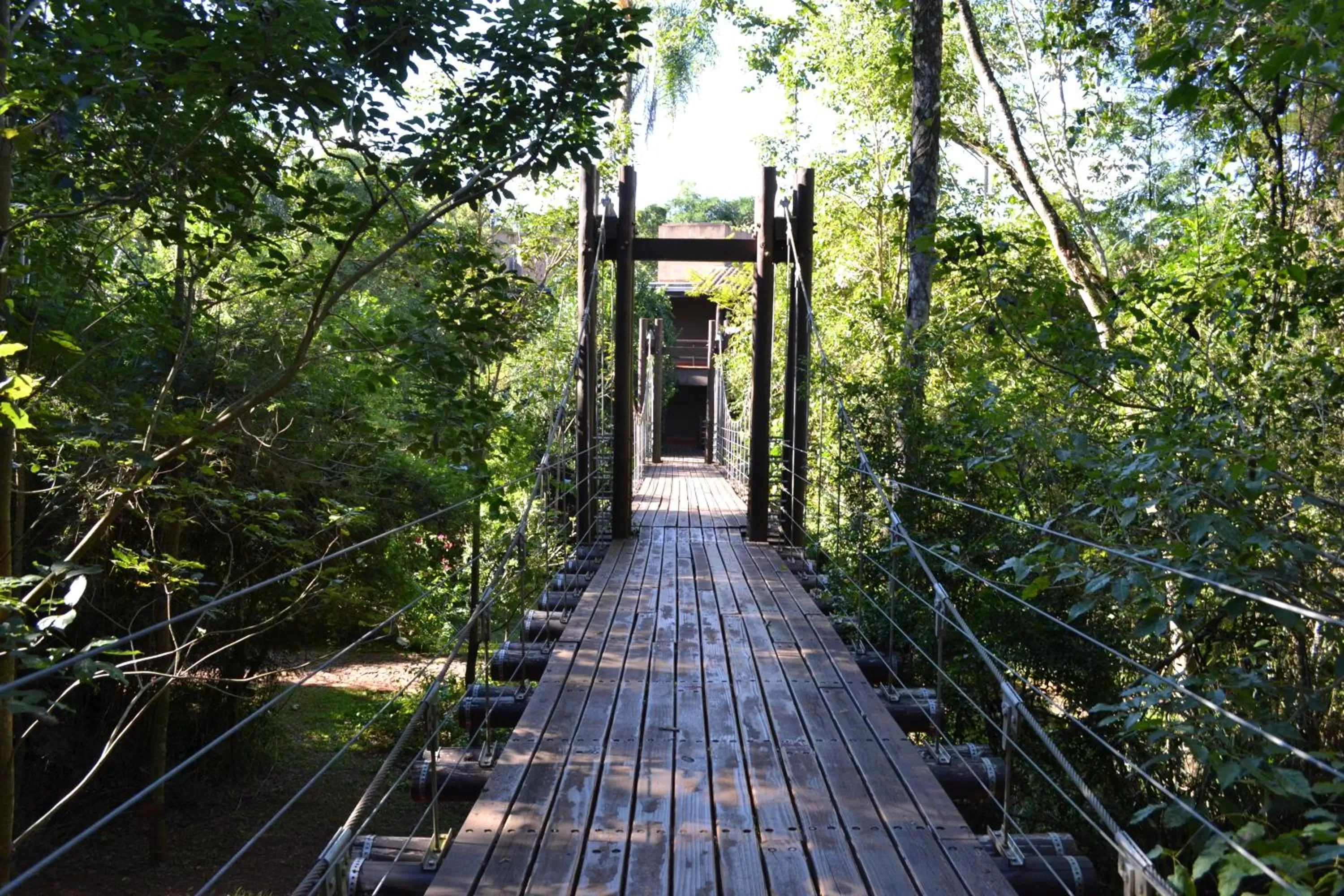 Natural landscape in Loi Suites Iguazu Hotel