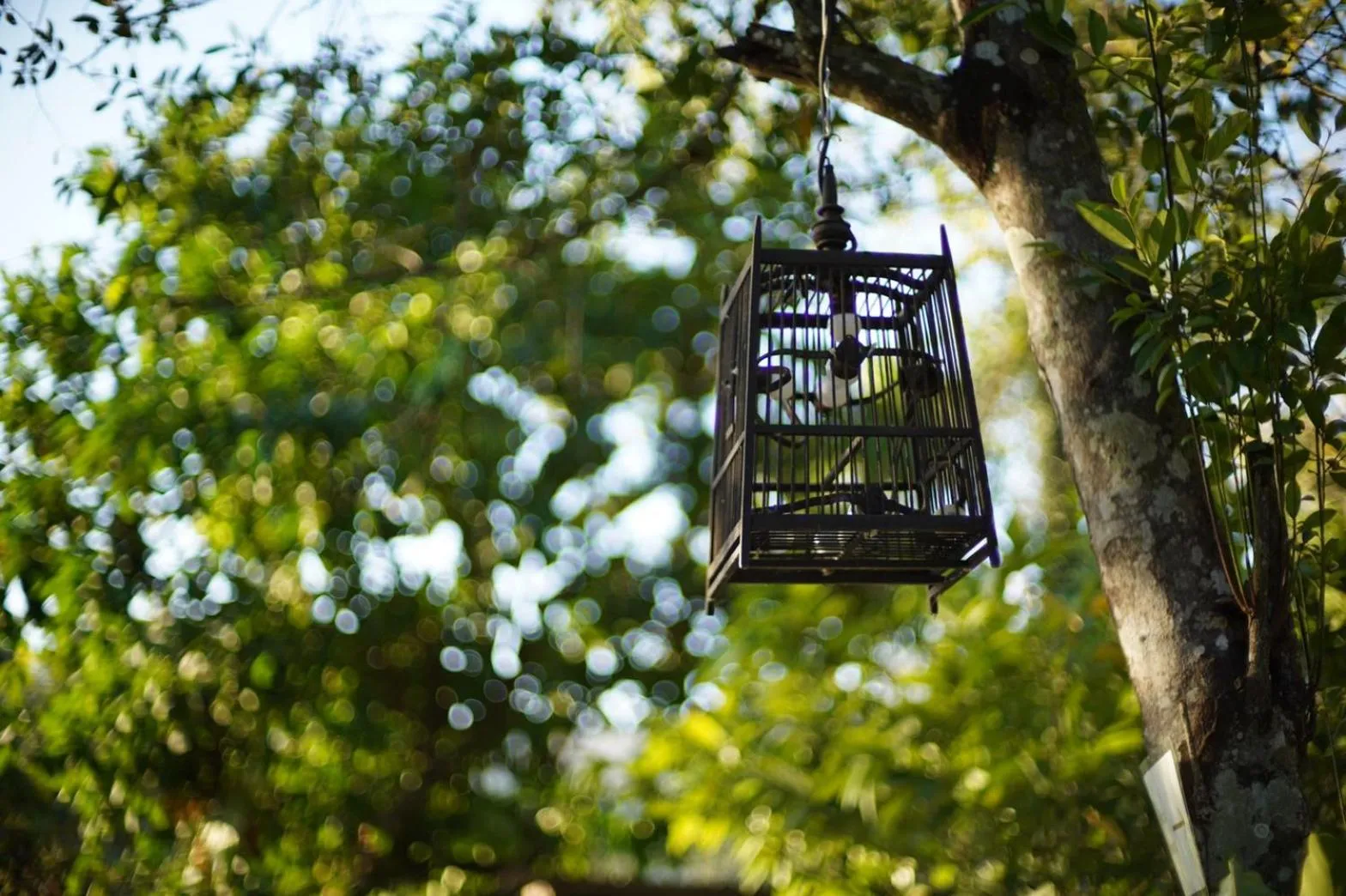 Natural landscape in Villa Panalai