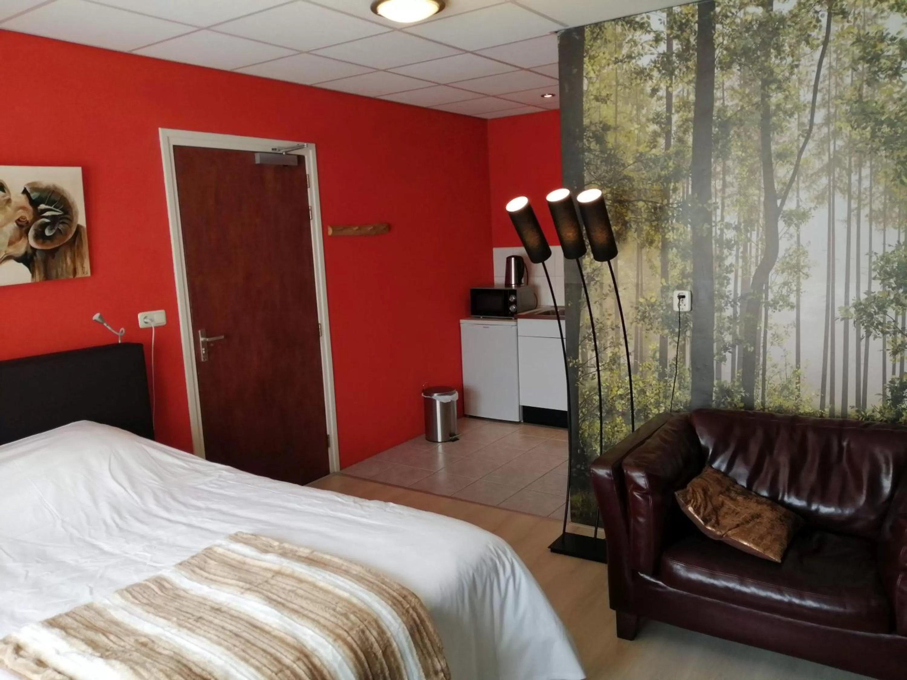 TV and multimedia, Bed in De Kapschuur