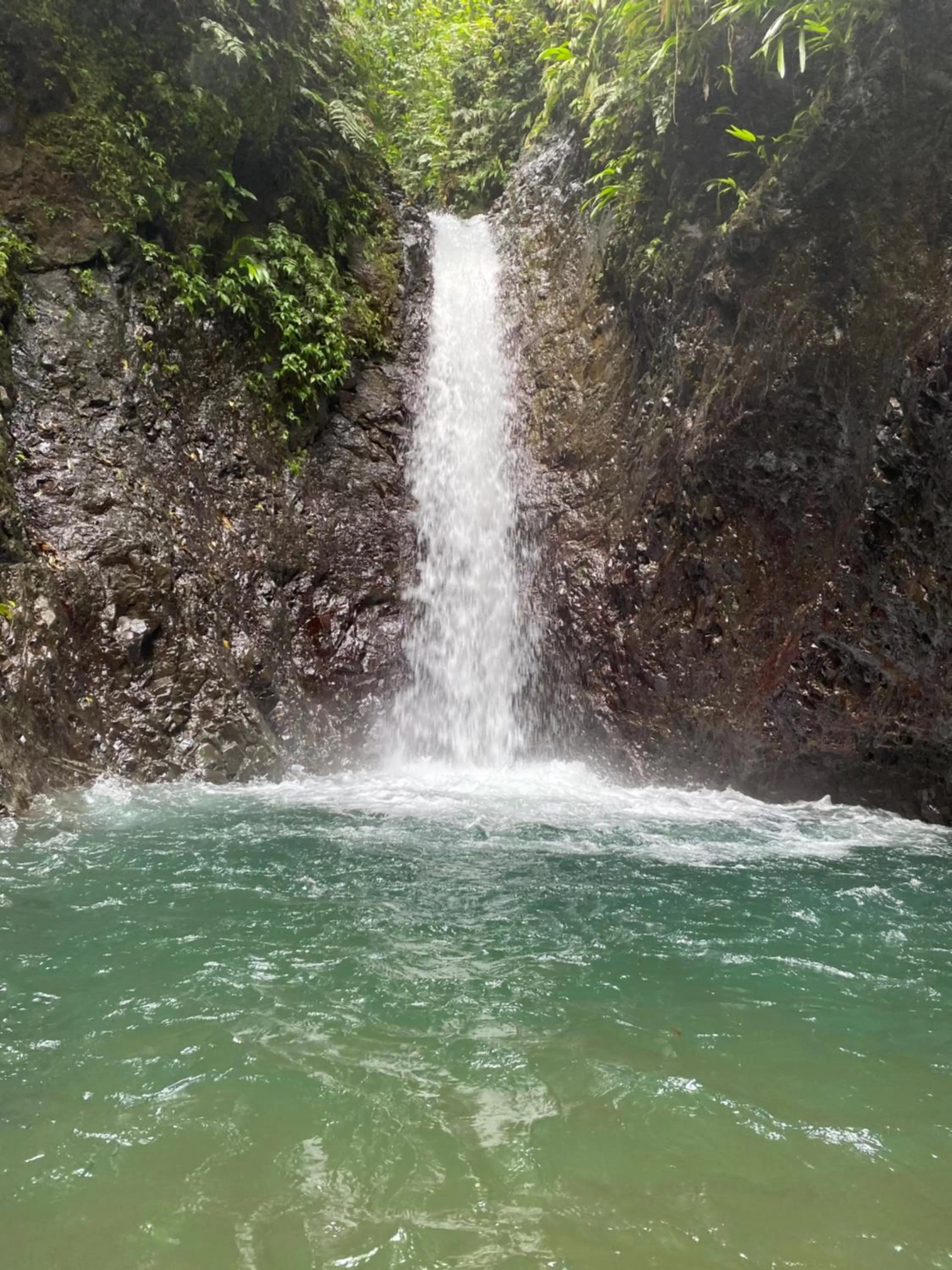 Natural landscape in Posada Turística Rocas De Cabo Marzo