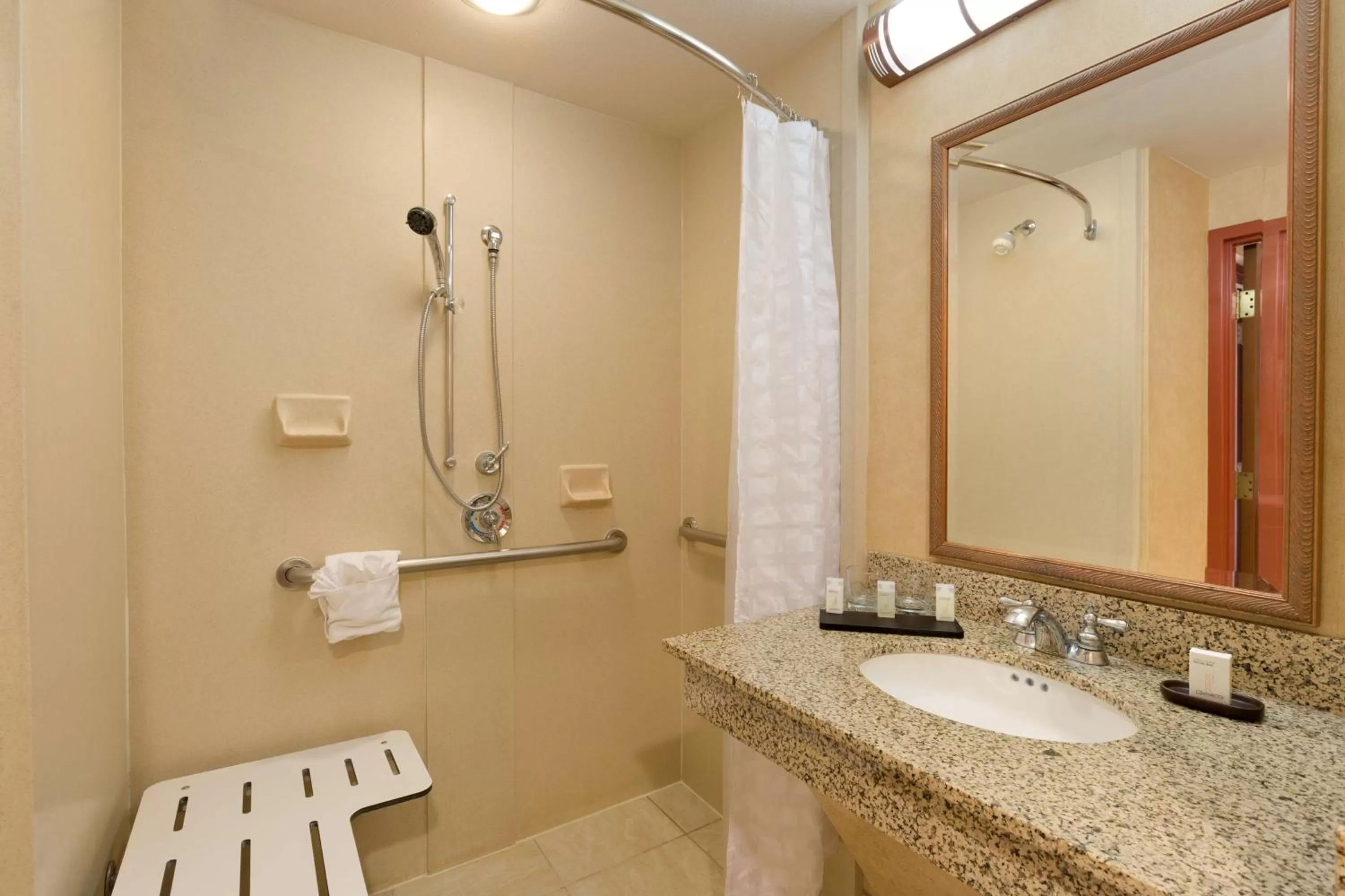 Bathroom in Embassy Suites by Hilton Dallas Frisco Hotel & Convention Center