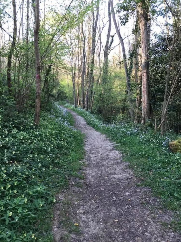 View (from property/room) in chambres d'hotes Labatut