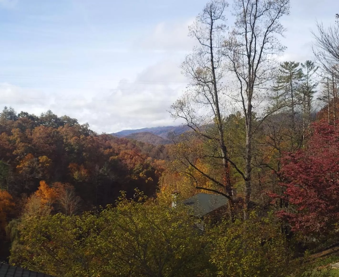 Day in Nantahala Village