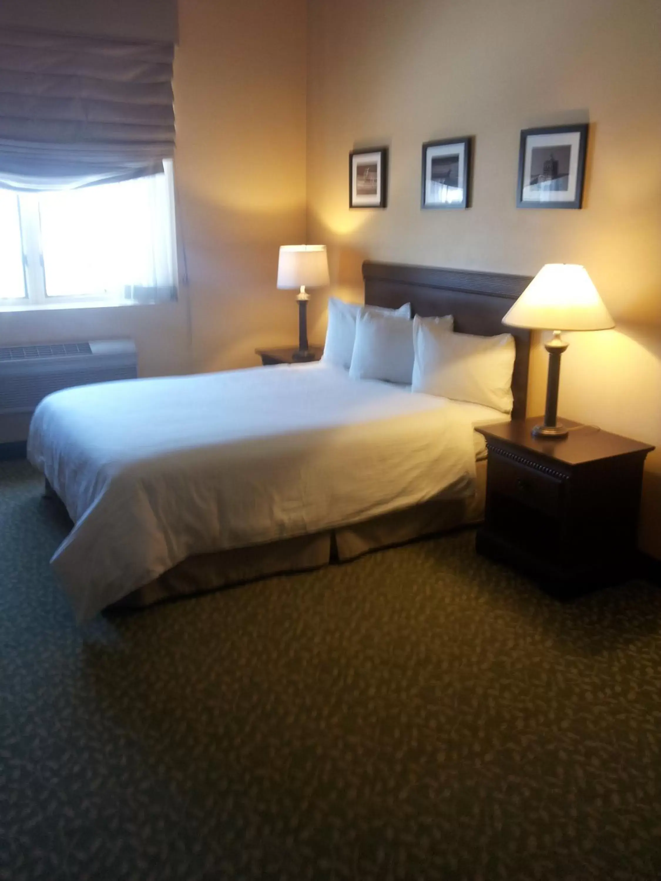 Queen Room- Disability Access in Belvedere Inn Schenectady - Albany Queen Room- Disability Access in Belvedere Inn Schenectady - Albany