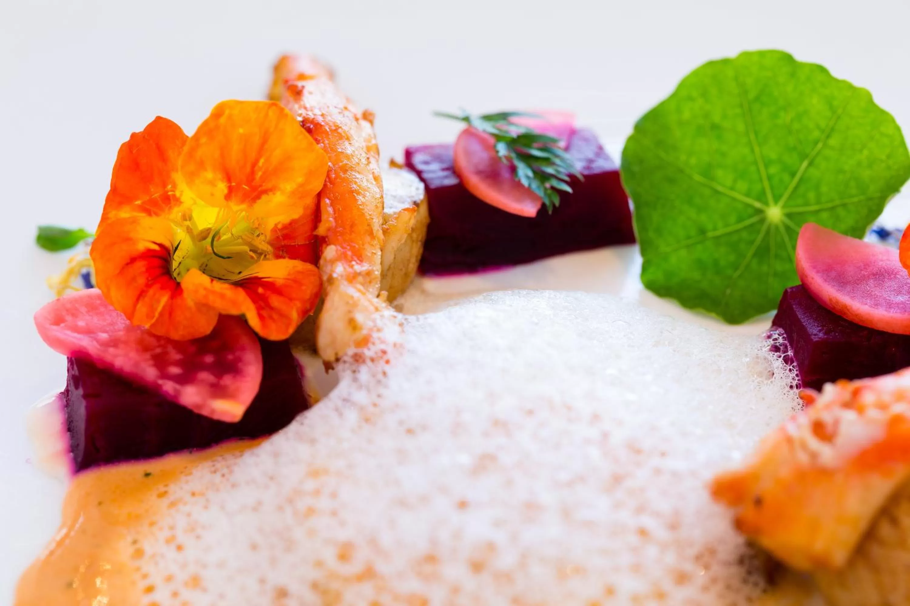 Restaurant/places to eat in Clico Boutique Hotel