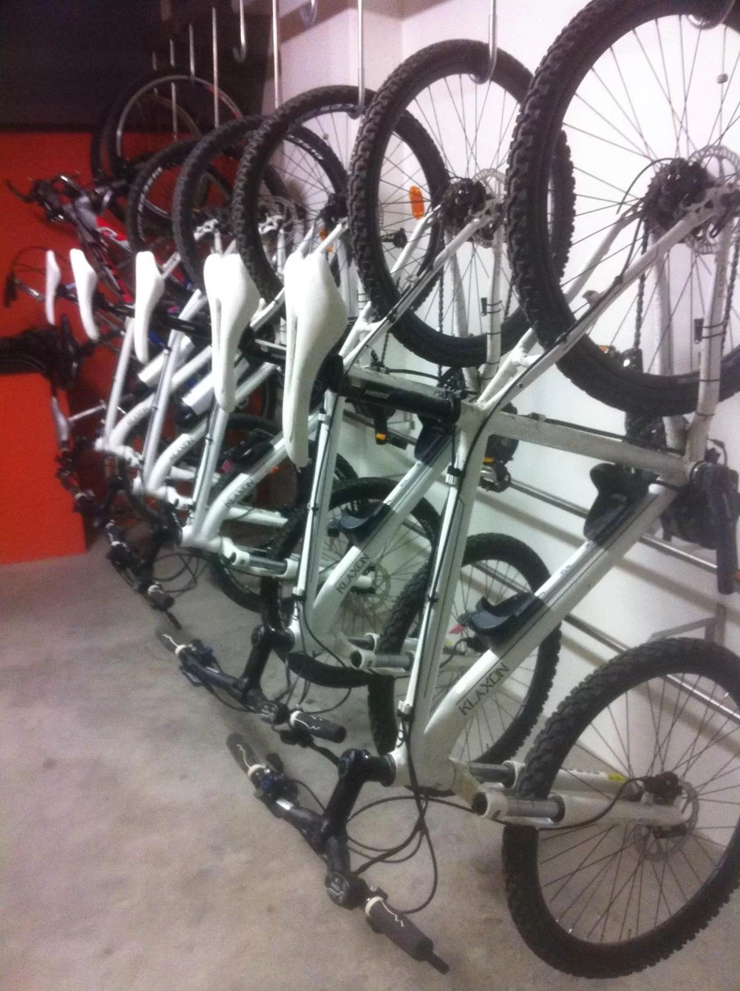 Cycling in Hotel Meublè Sertorelli Reit