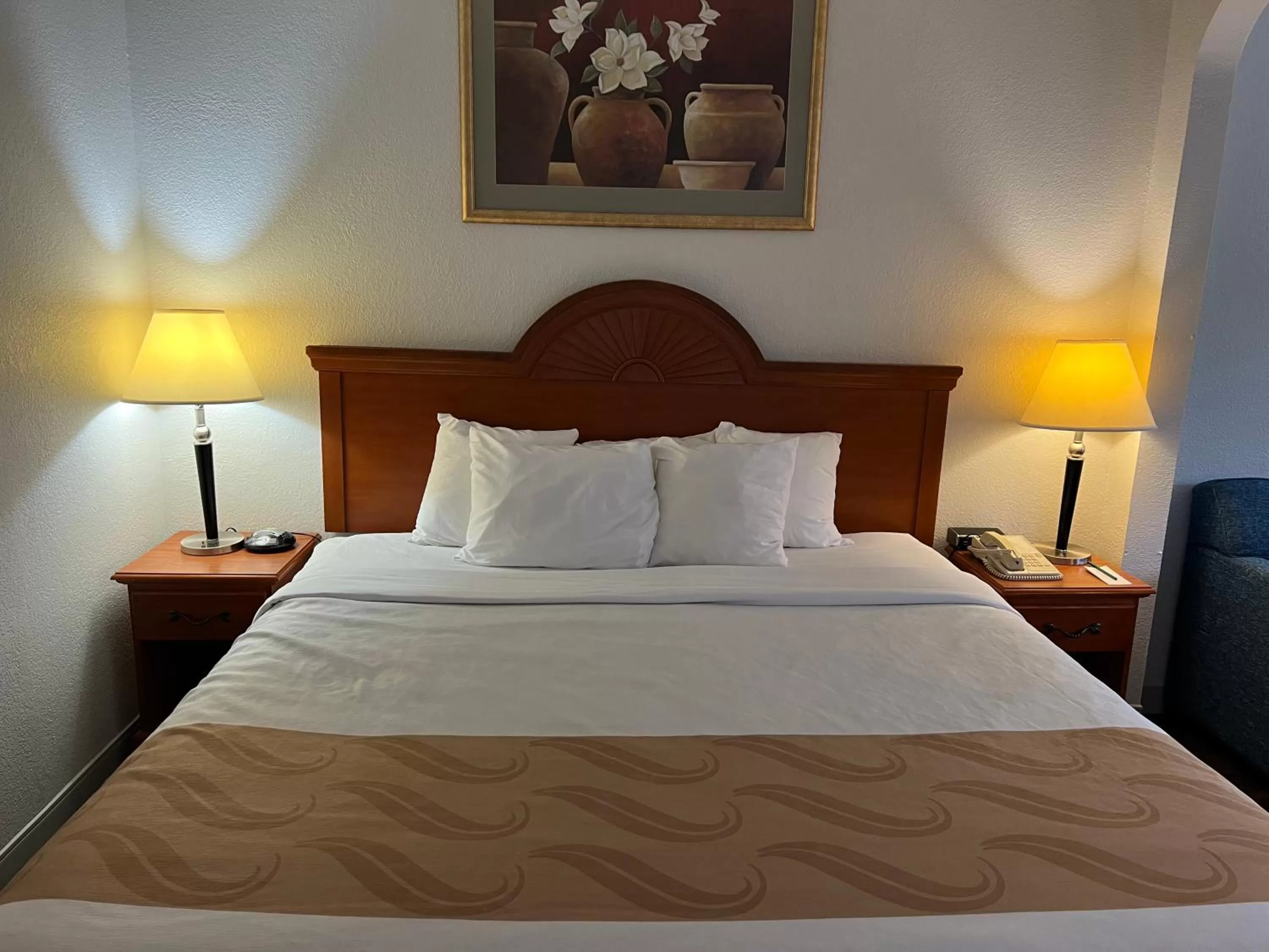 Bed in Quality Suites Altavista - Lynchburg South