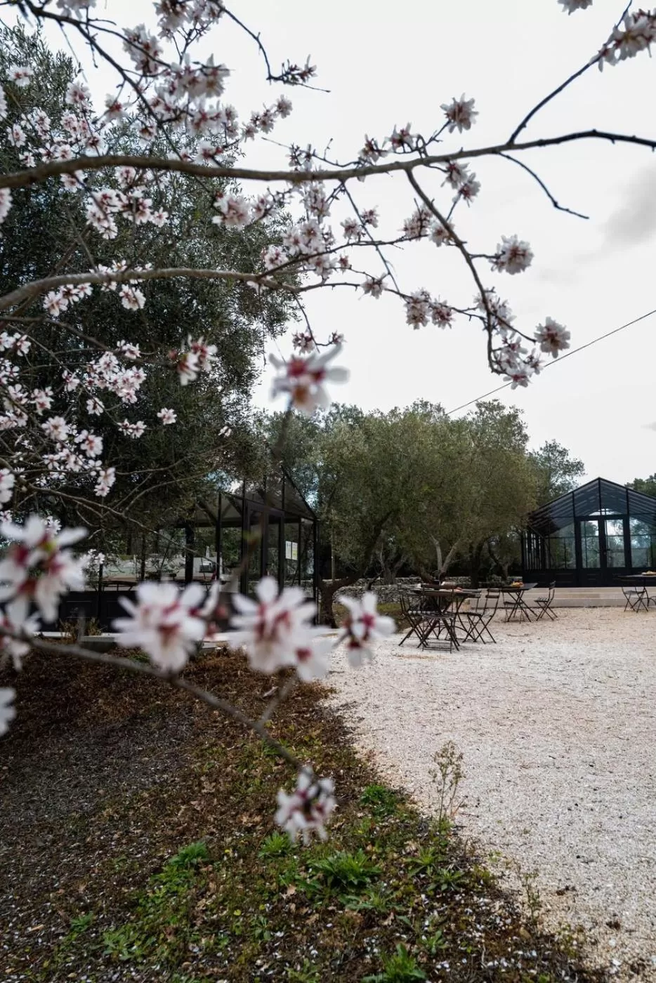 Relais Trulli Le Icone