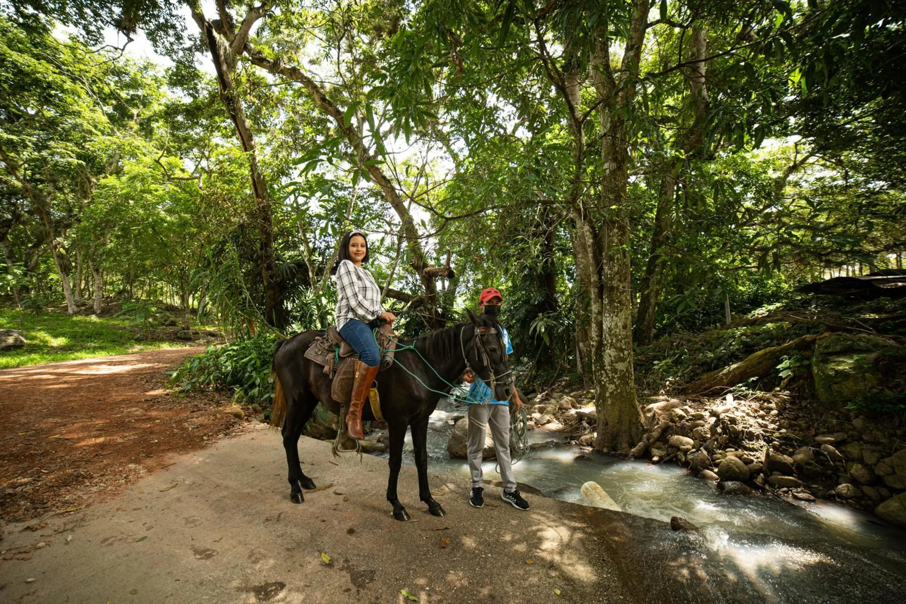 Animals, Horseback Riding in Hotel de Campo Villa de Ada