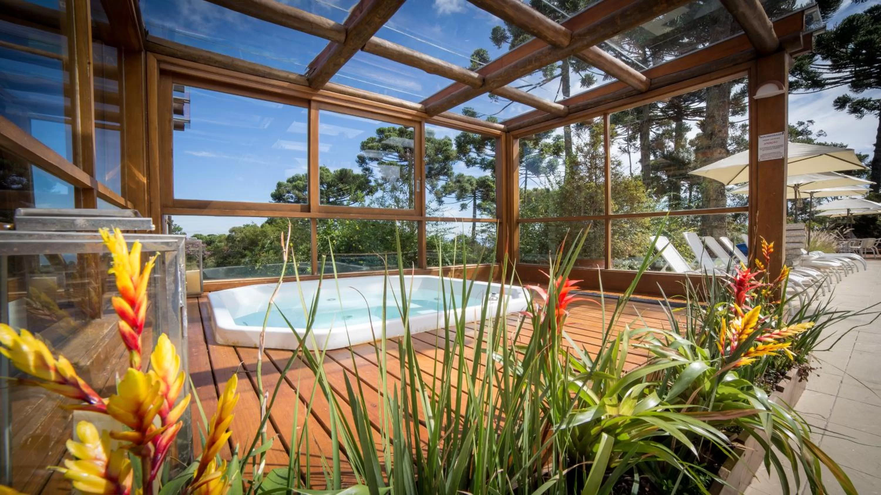 Hot Spring Bath in Hotel Toriba