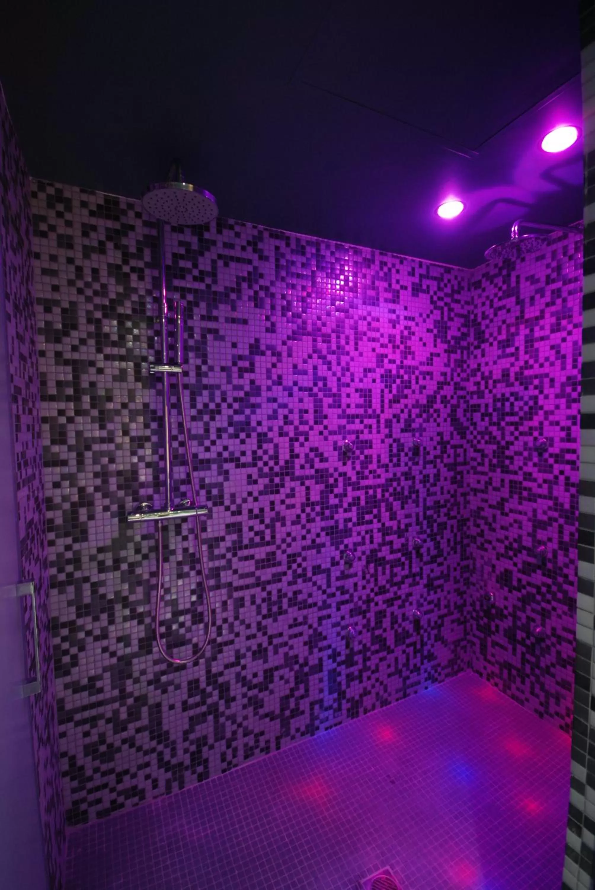 Spa and wellness centre/facilities in Hotel & Spa Real Jaca