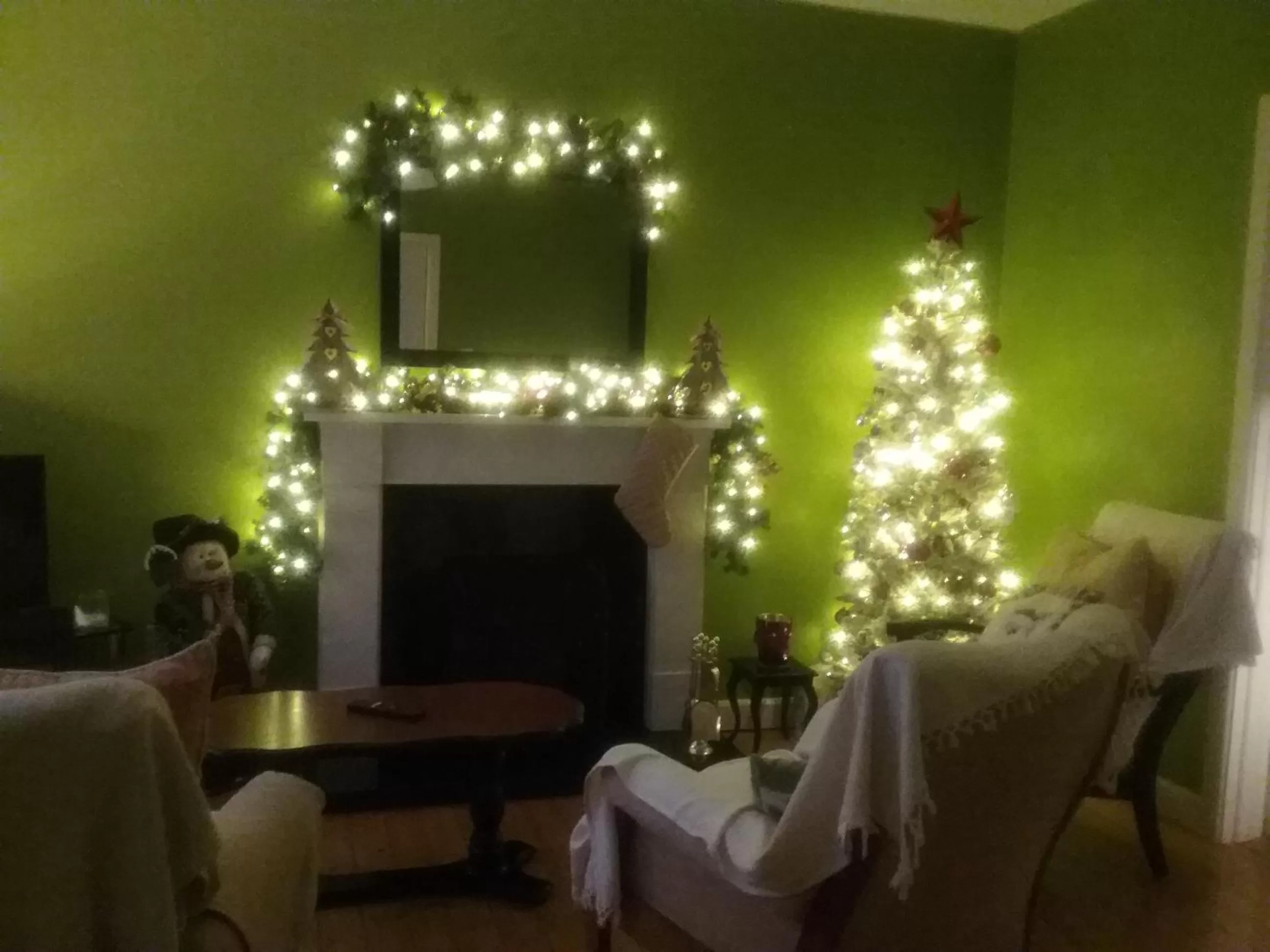 Communal lounge/ TV room in The Meadows Bed and Breakfast