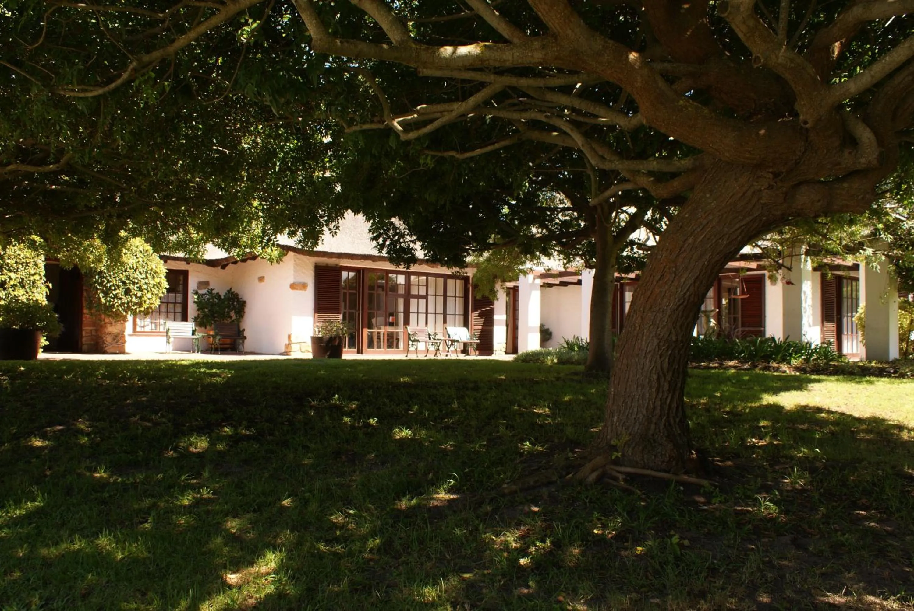 Garden in Whale Rock Luxury Lodge
