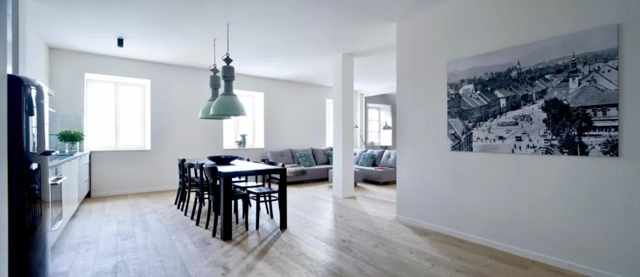 Kitchen or kitchenette in Hotel Maribor, City apartments