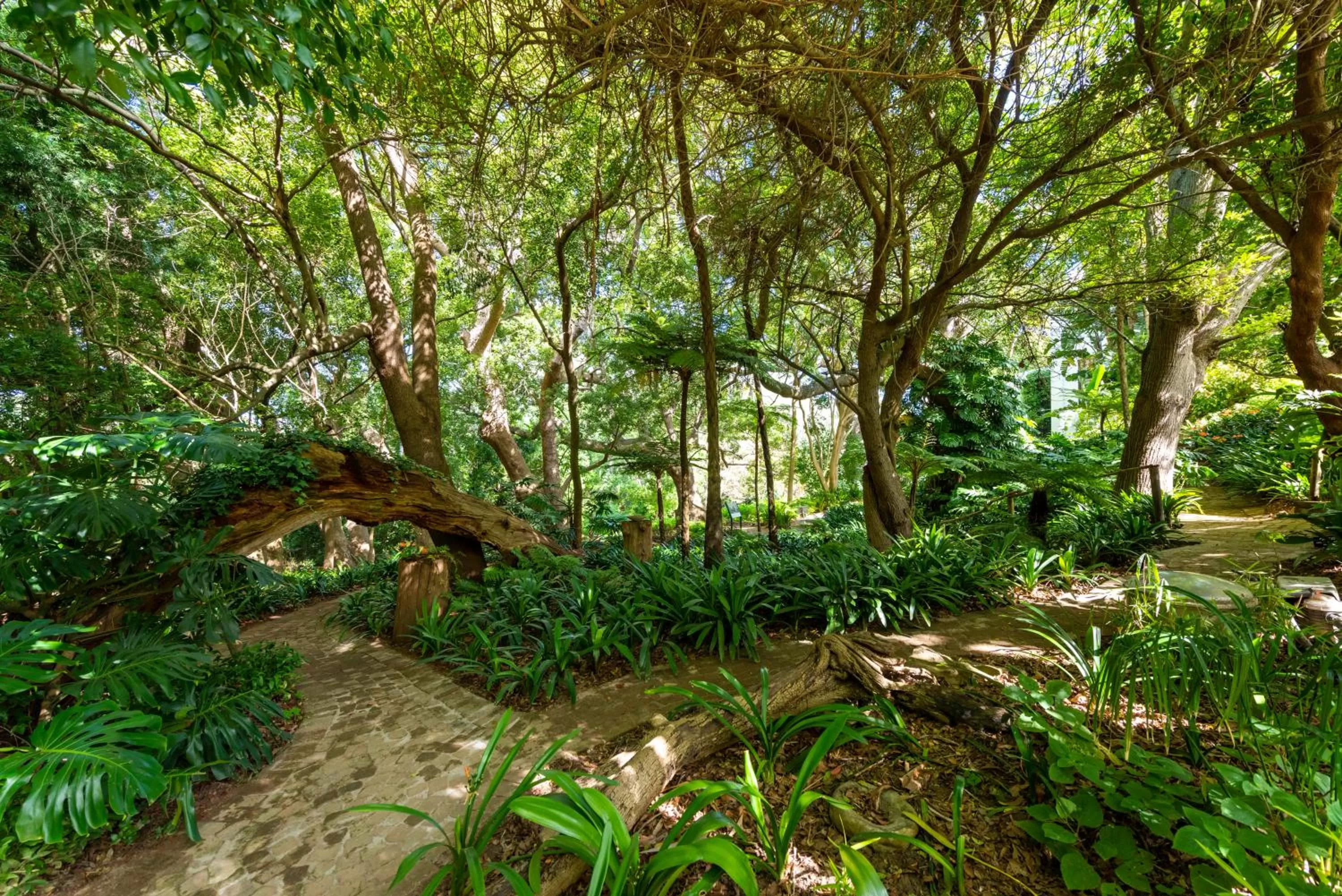 Natural landscape in The Cellars-Hohenort