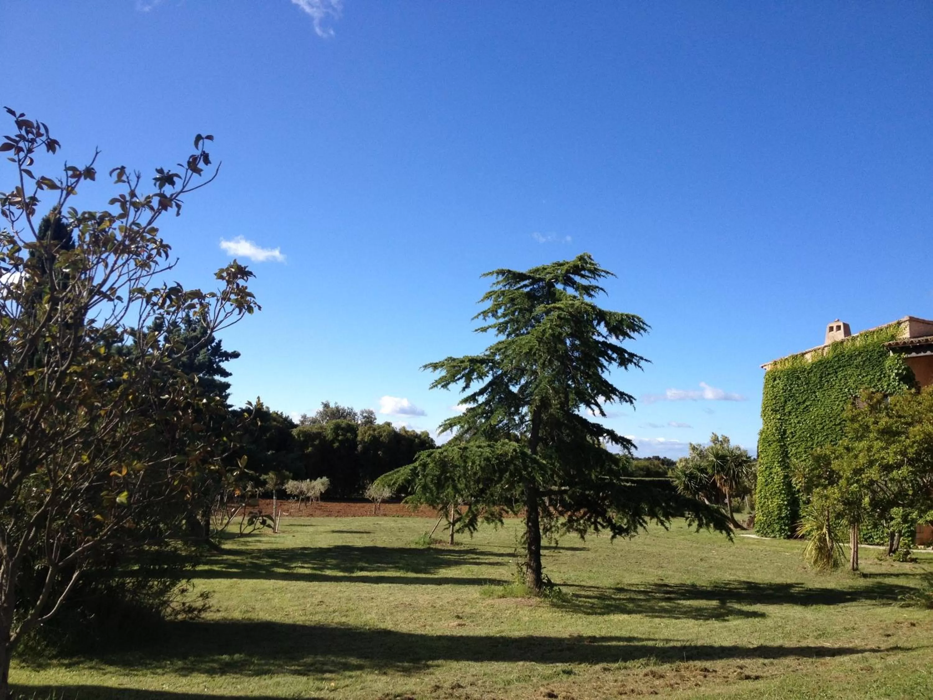 Garden in VILLA MERCEDES B&b