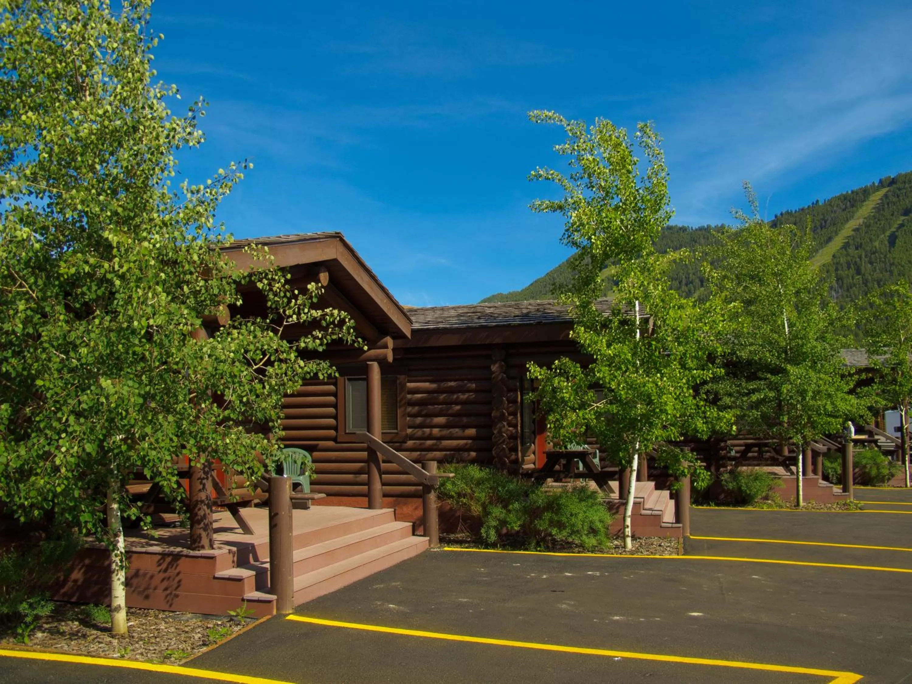 Summer in Elk Country Inn