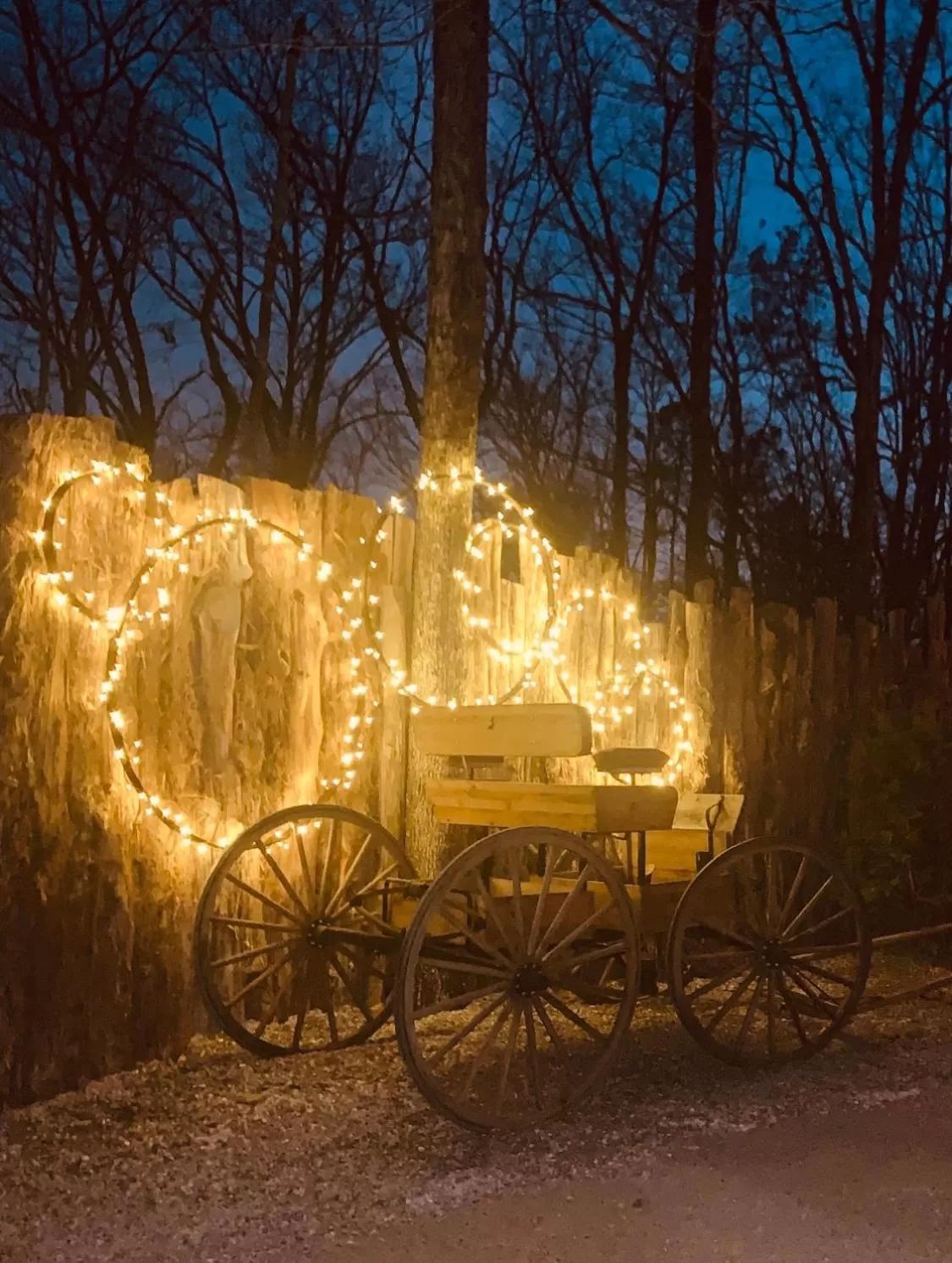 Natural landscape, Property Building in Fox Pass Cabins