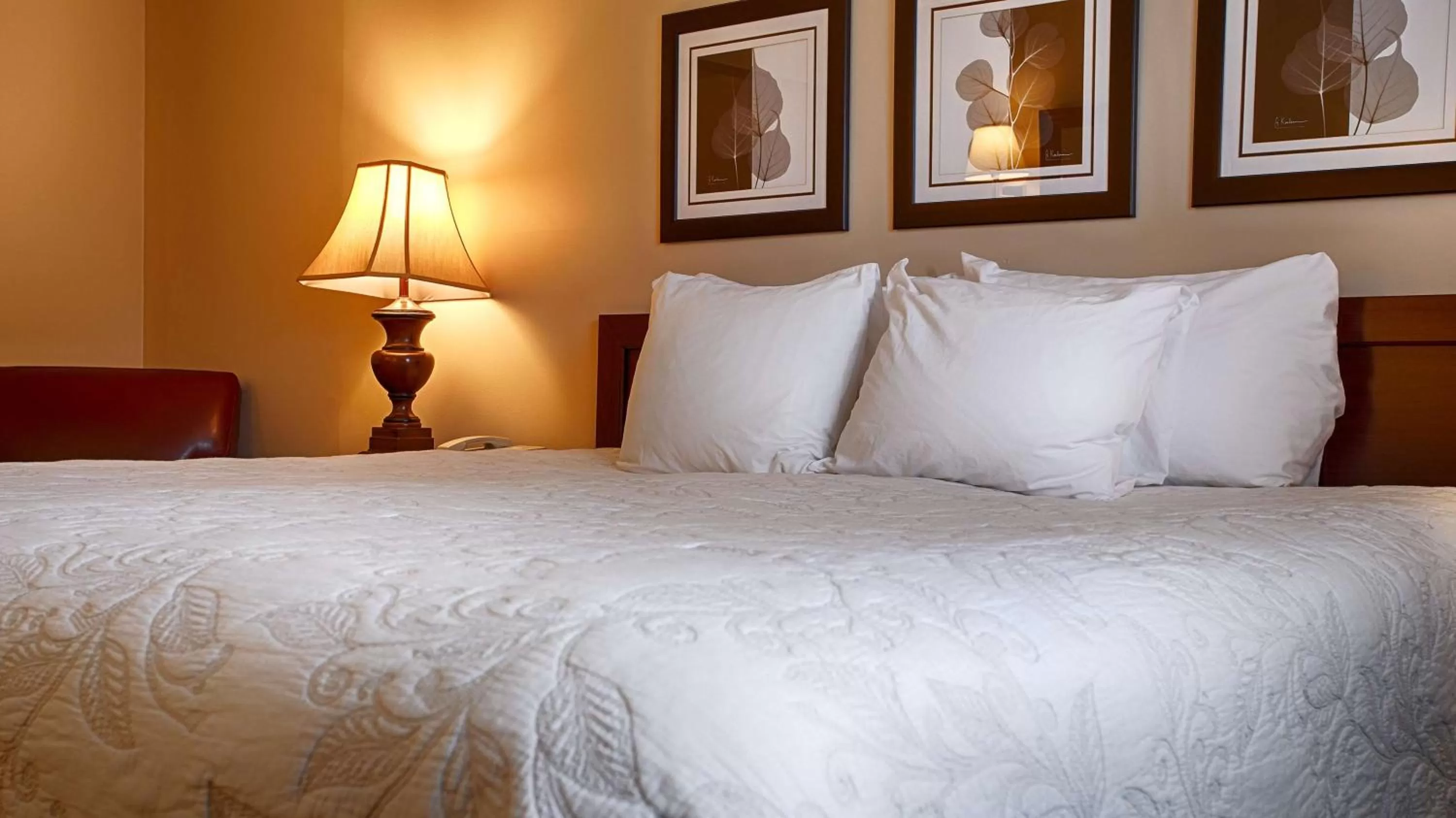 Bed in Silver Fox Inn