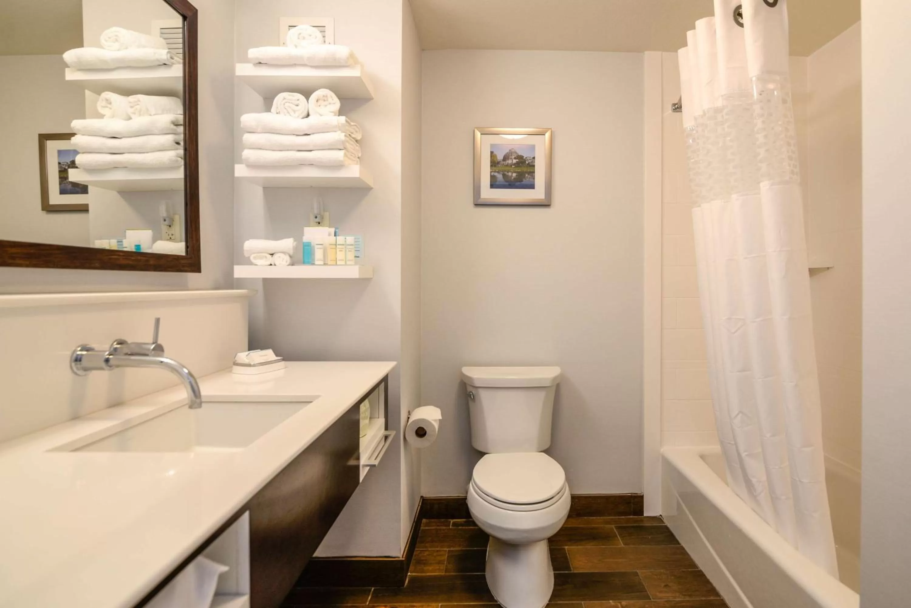 Bathroom in Hampton Inn Brighton Mi