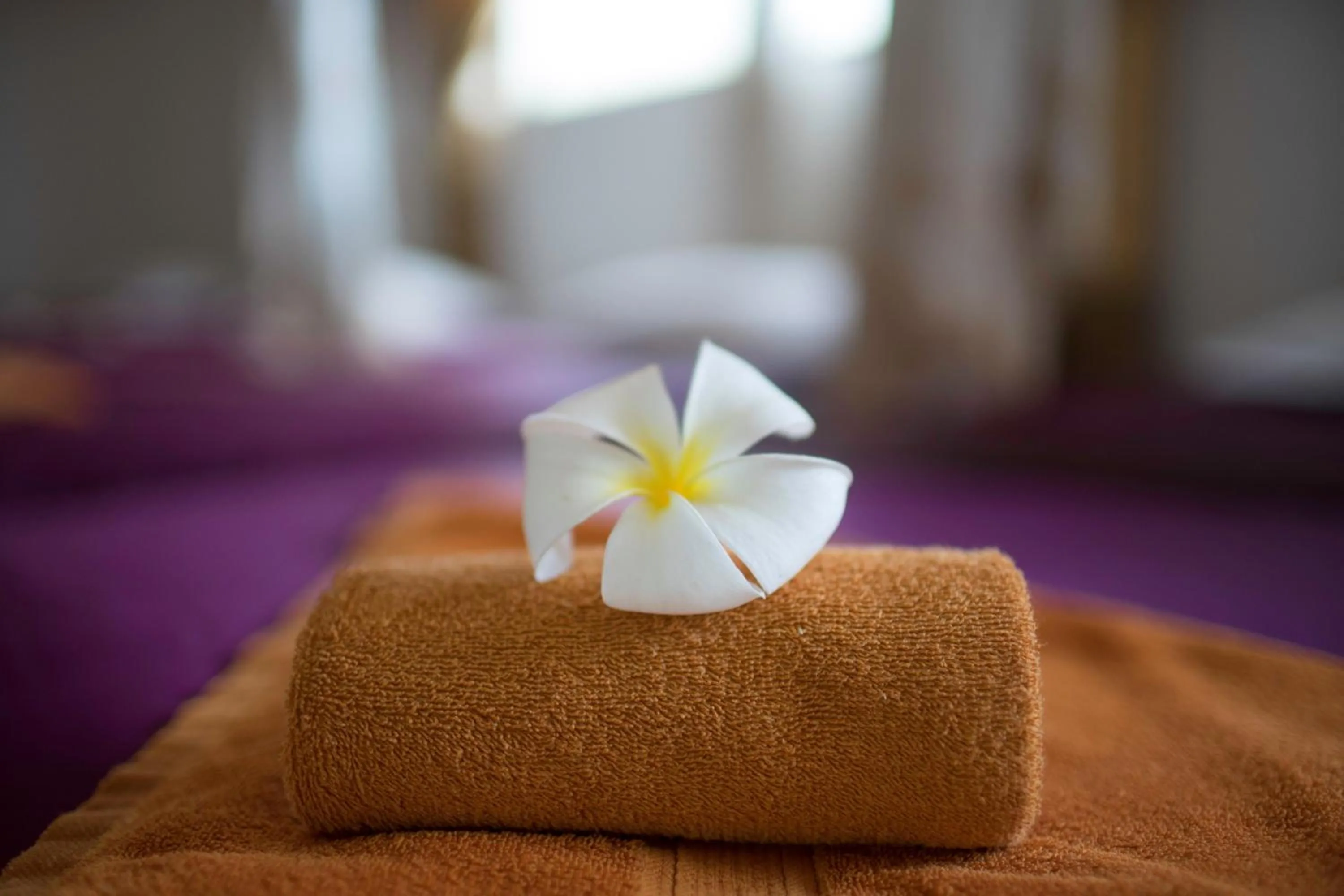 Activities, Bed in Smiling Hotel