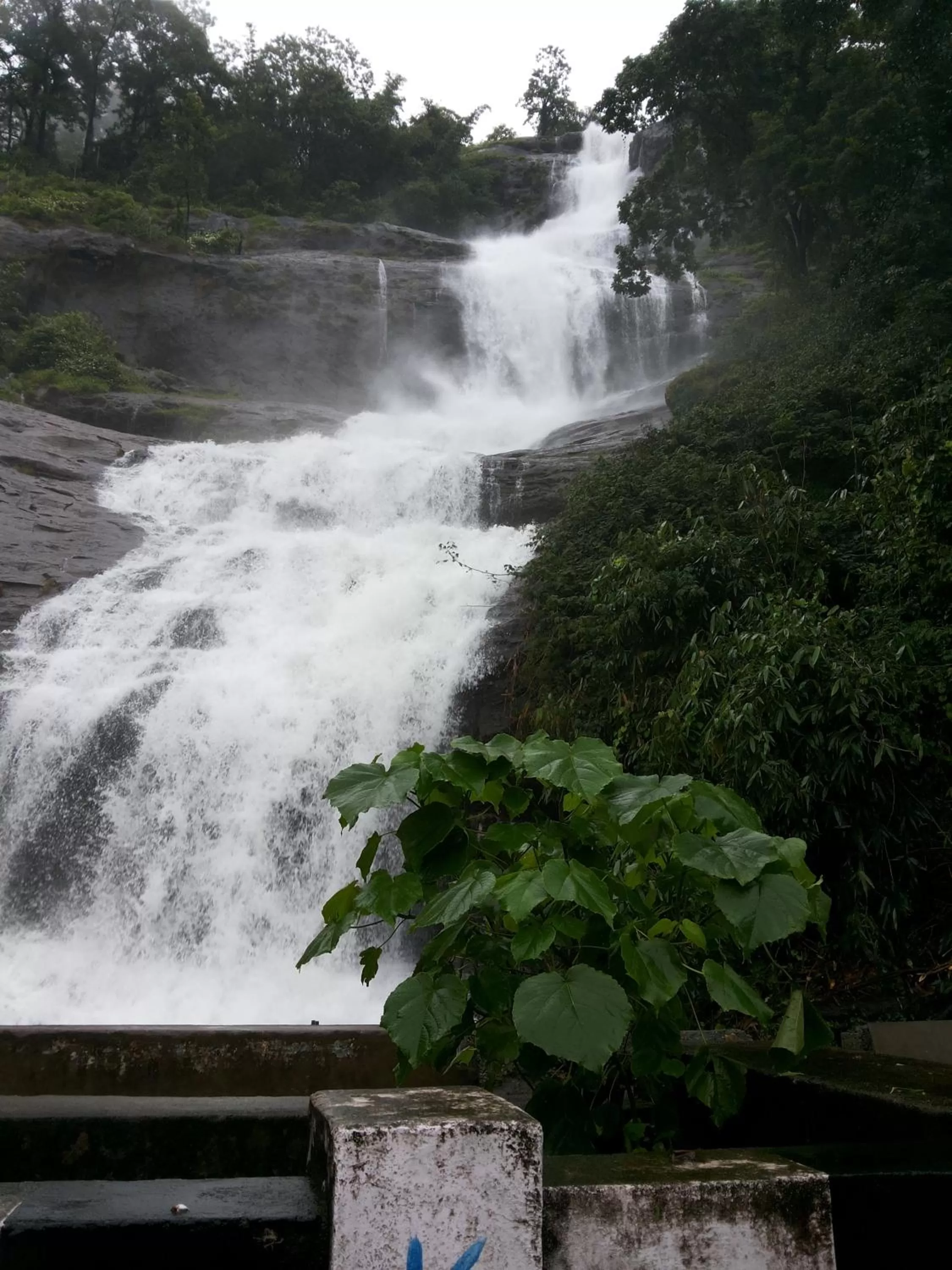 Natural landscape in Abad Copper Castle Resort