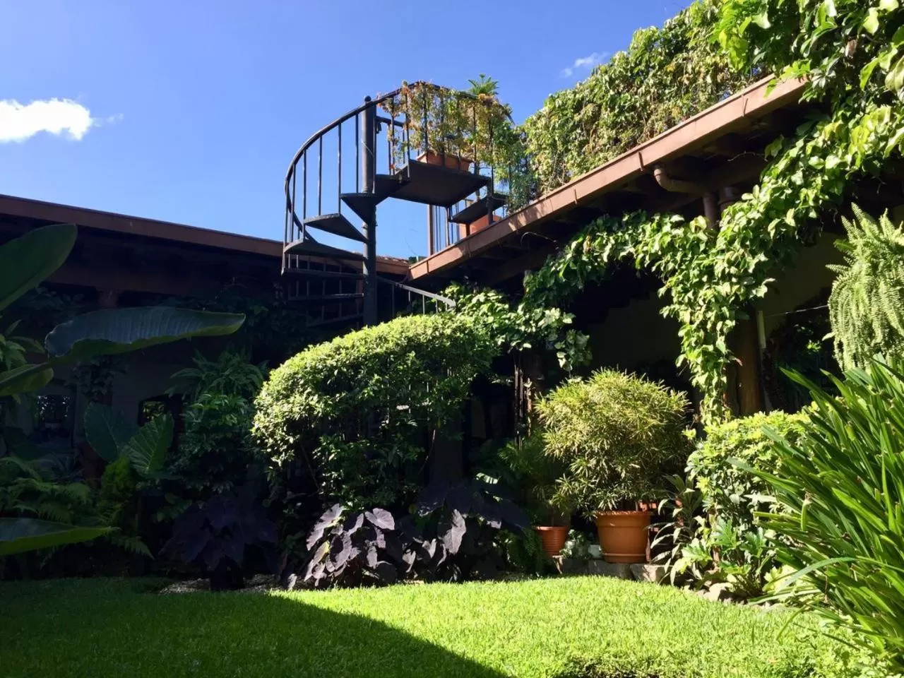 Garden in Hotel La Catedral