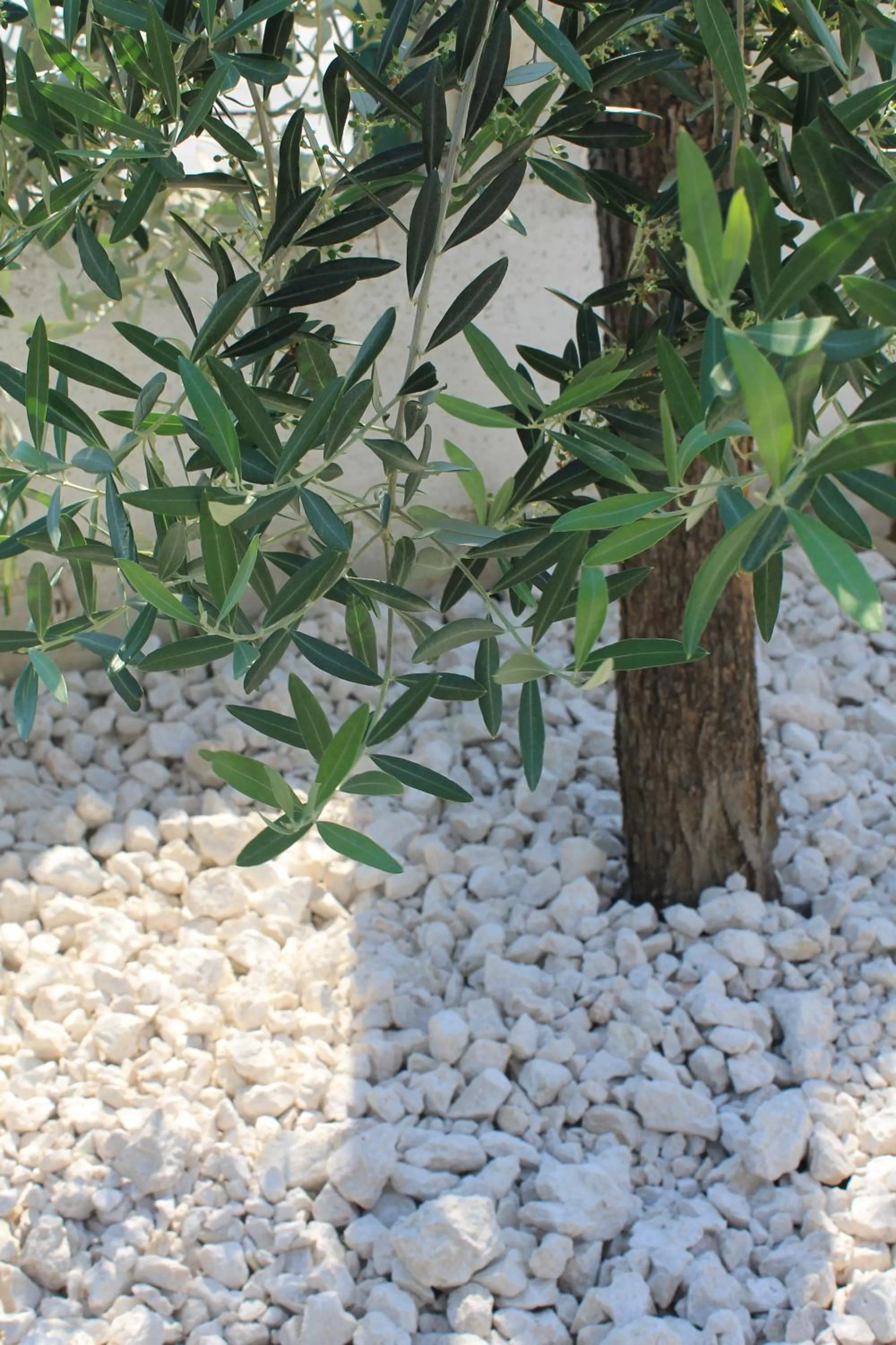 Property building in B&B Palazzo Manfredi Vieste, Fronte mare con Parcheggio