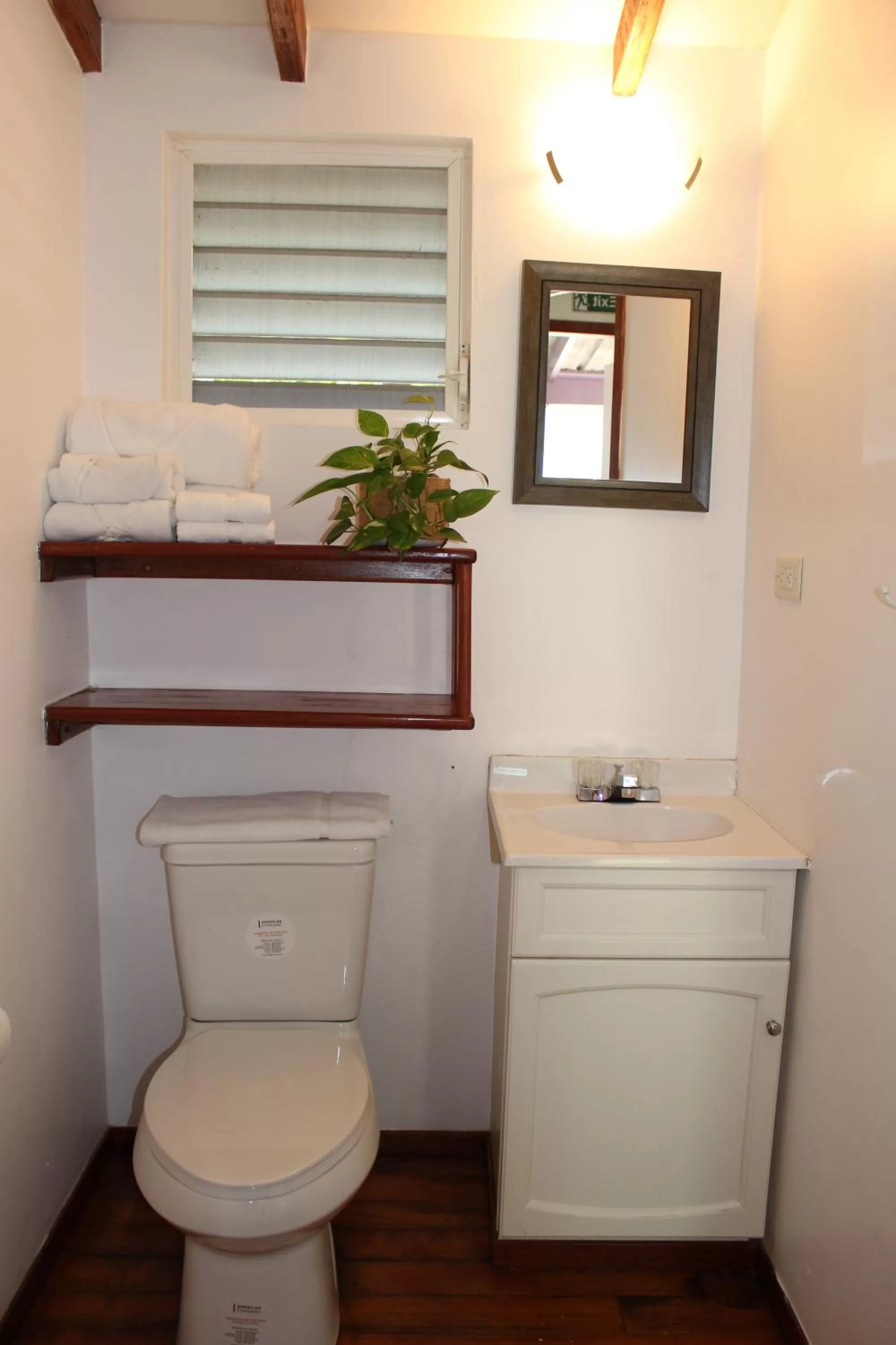 Bathroom in Placencia Villas