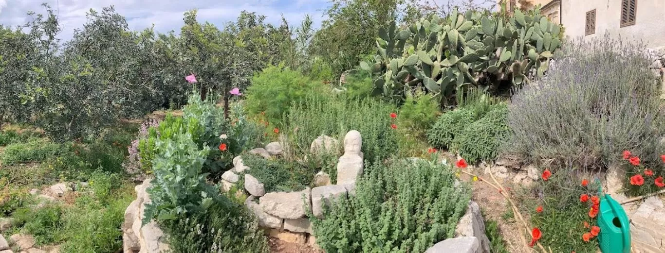 View (from property/room) in Vinciucci