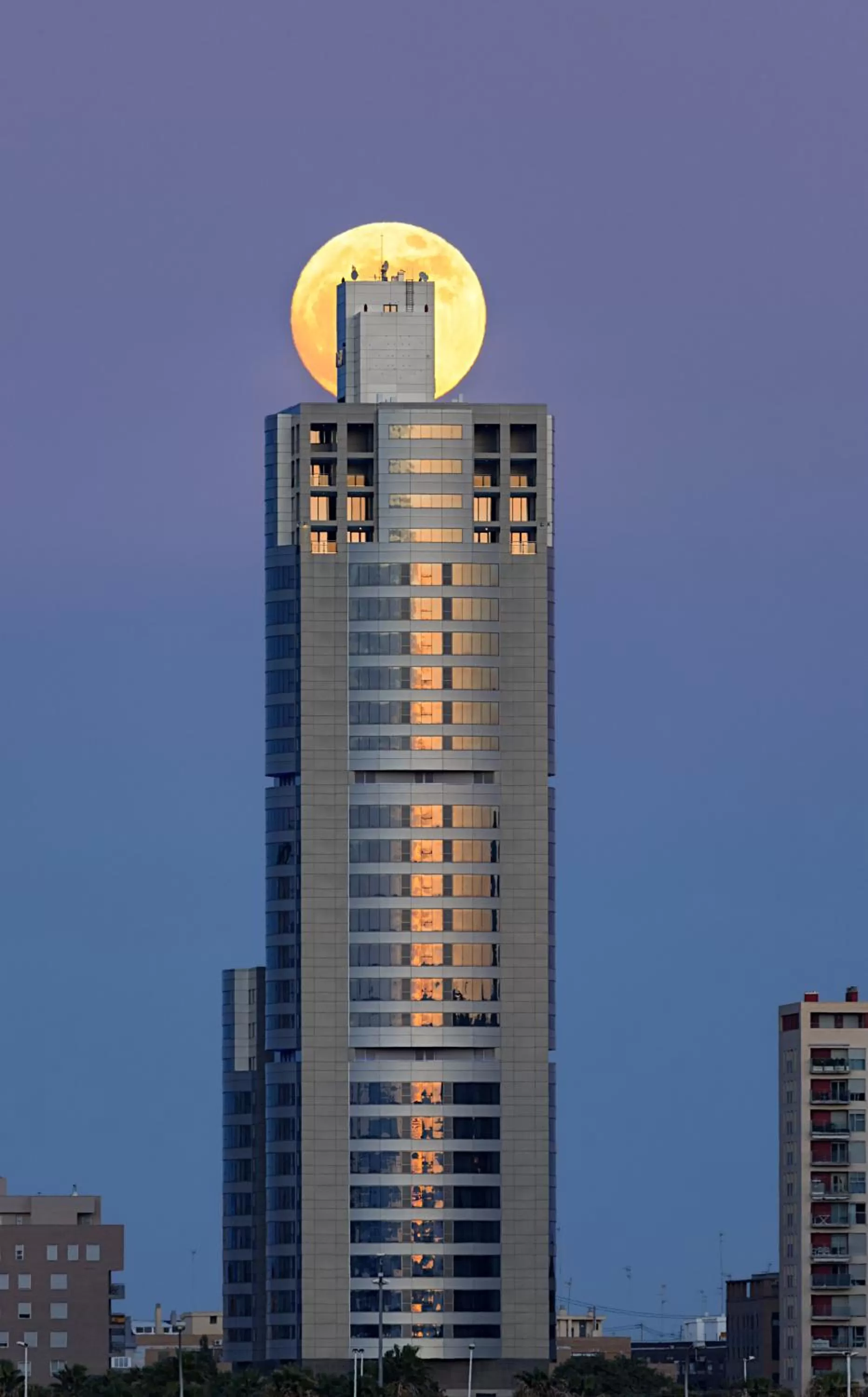 Property building in Melia Valencia