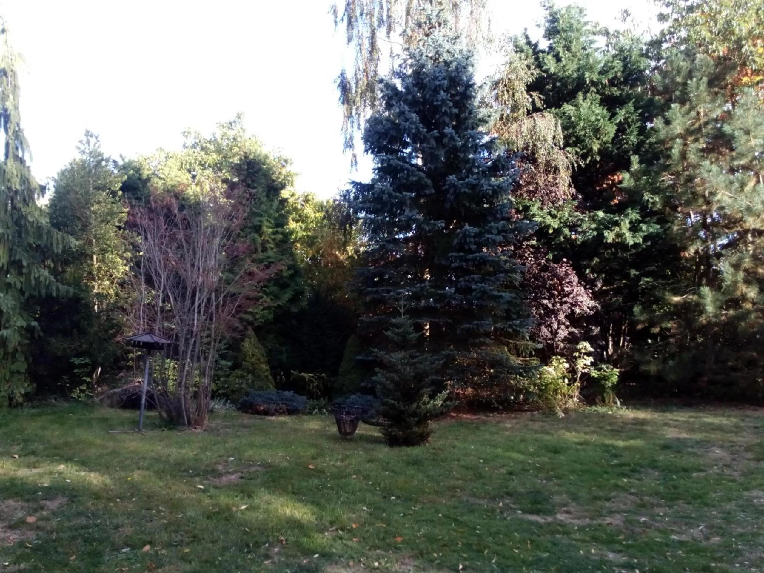 Hotel Leppiner Hof - B&B FRÜHSTÜCKSPENSION